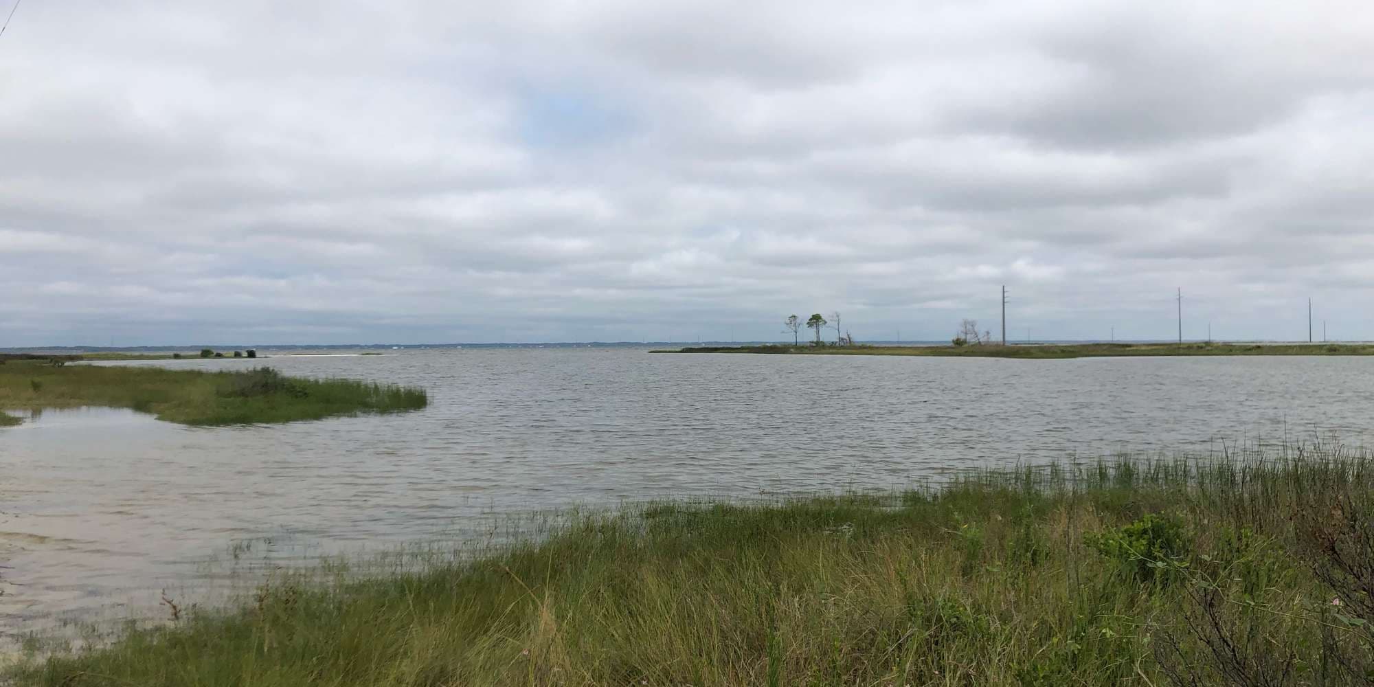 First image to compare