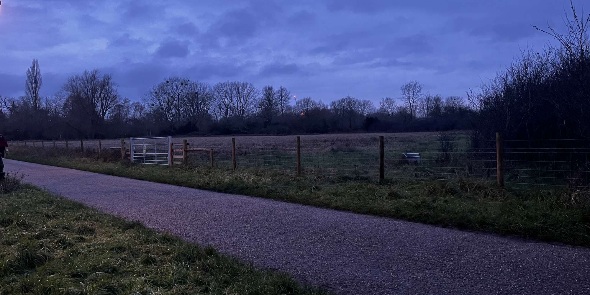 Second image to compare