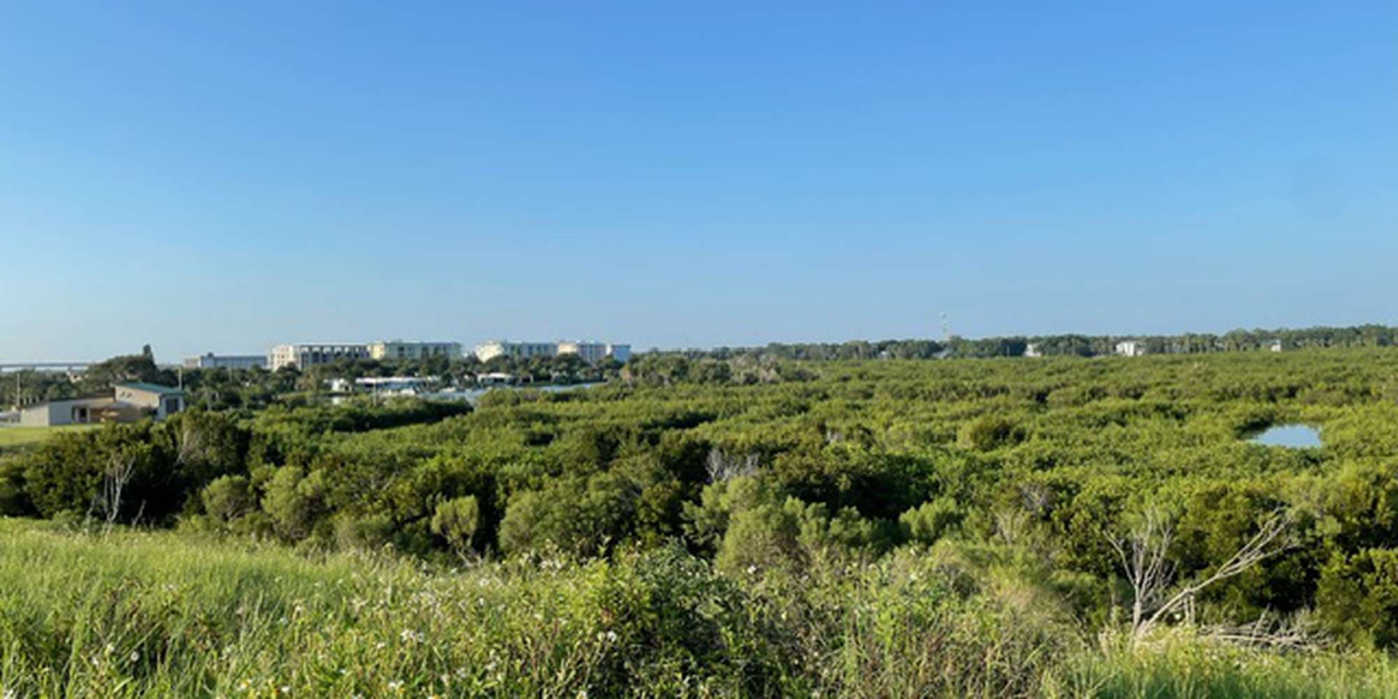 First image to compare