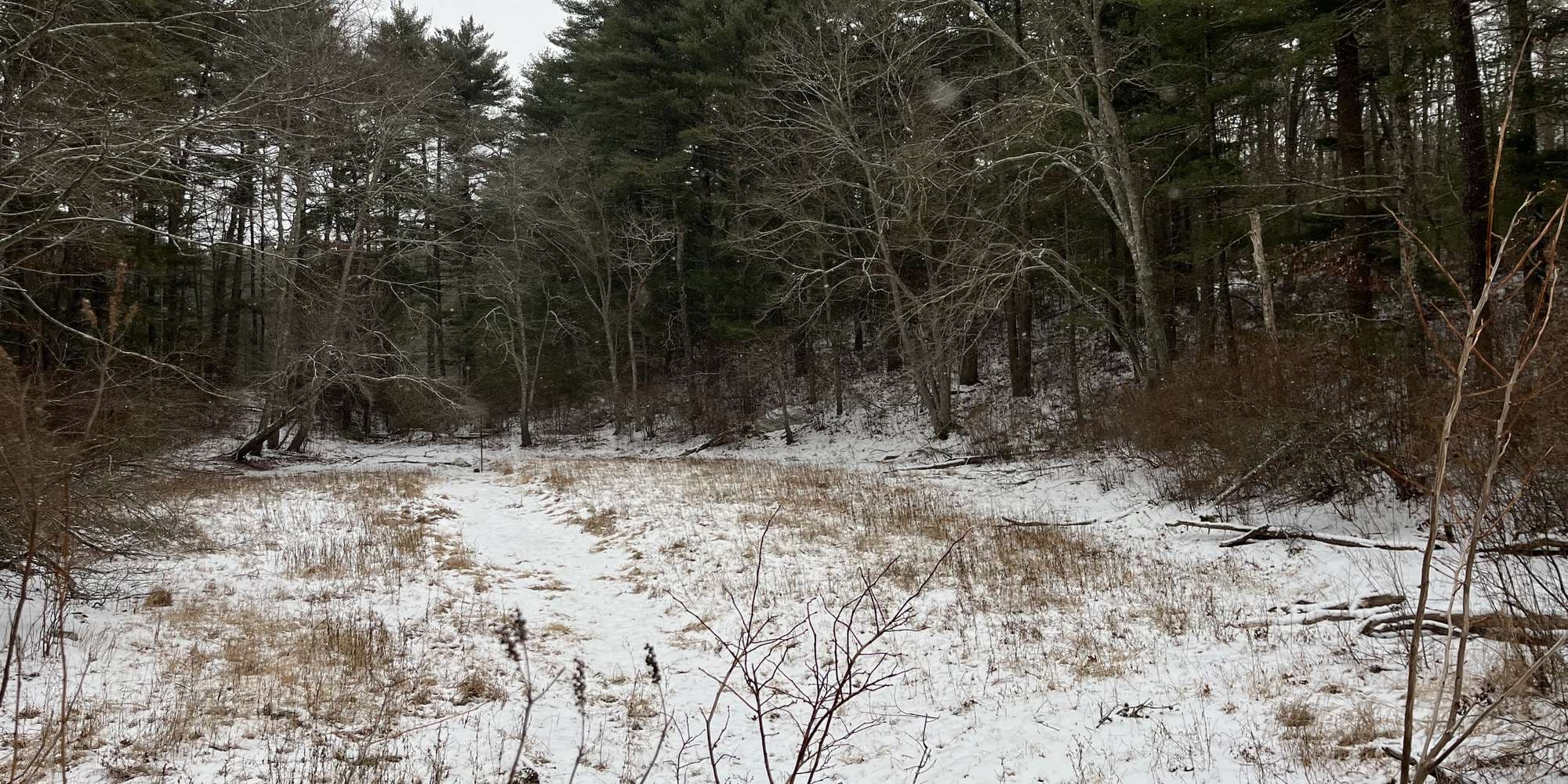 Second image to compare