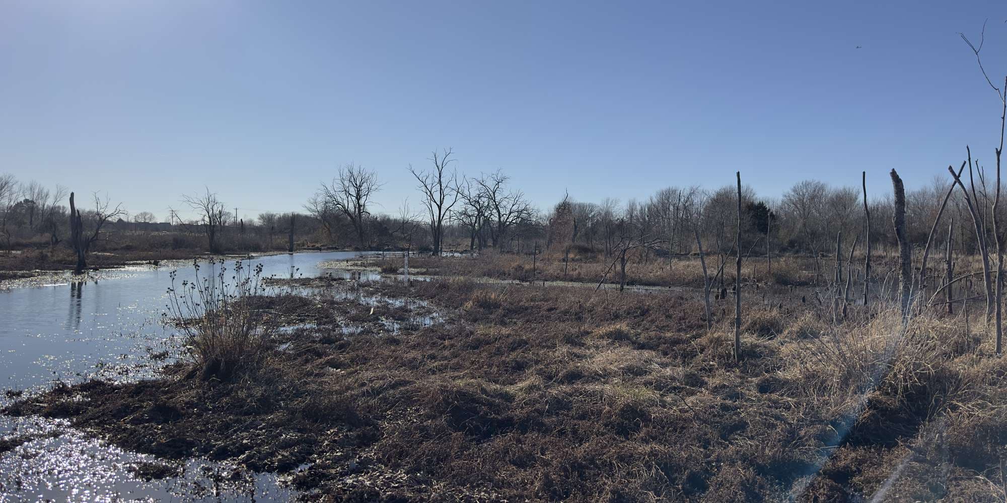 Second image to compare