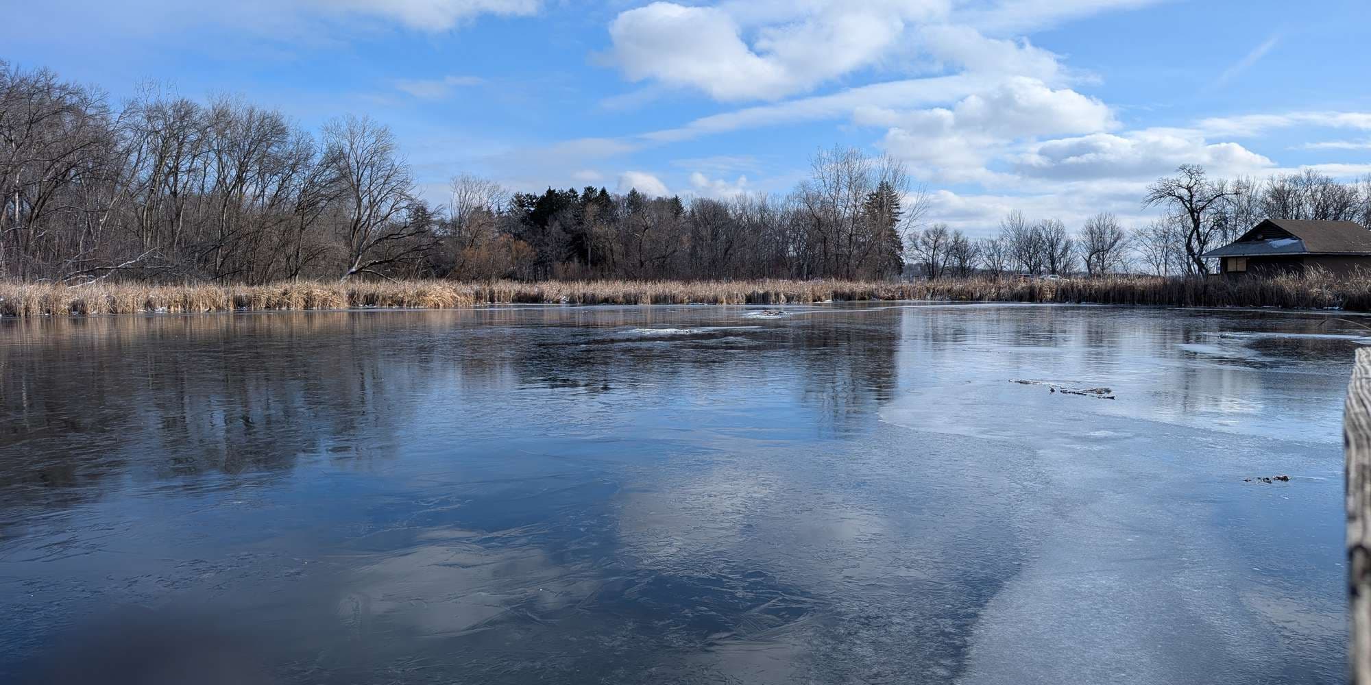 Second image to compare