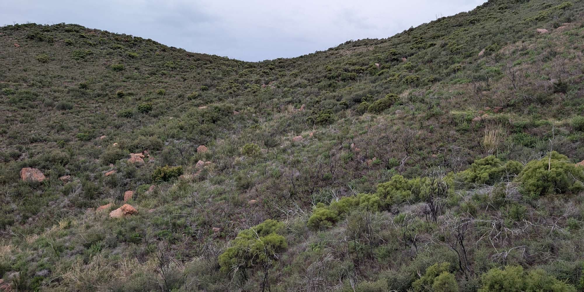 Second image to compare