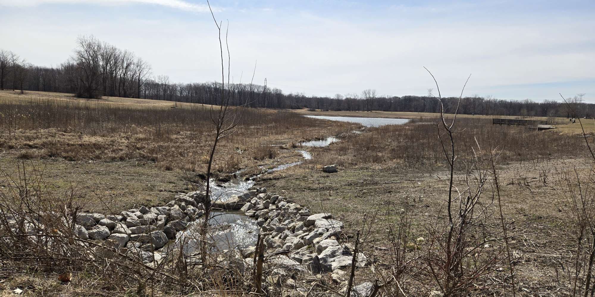 First image to compare