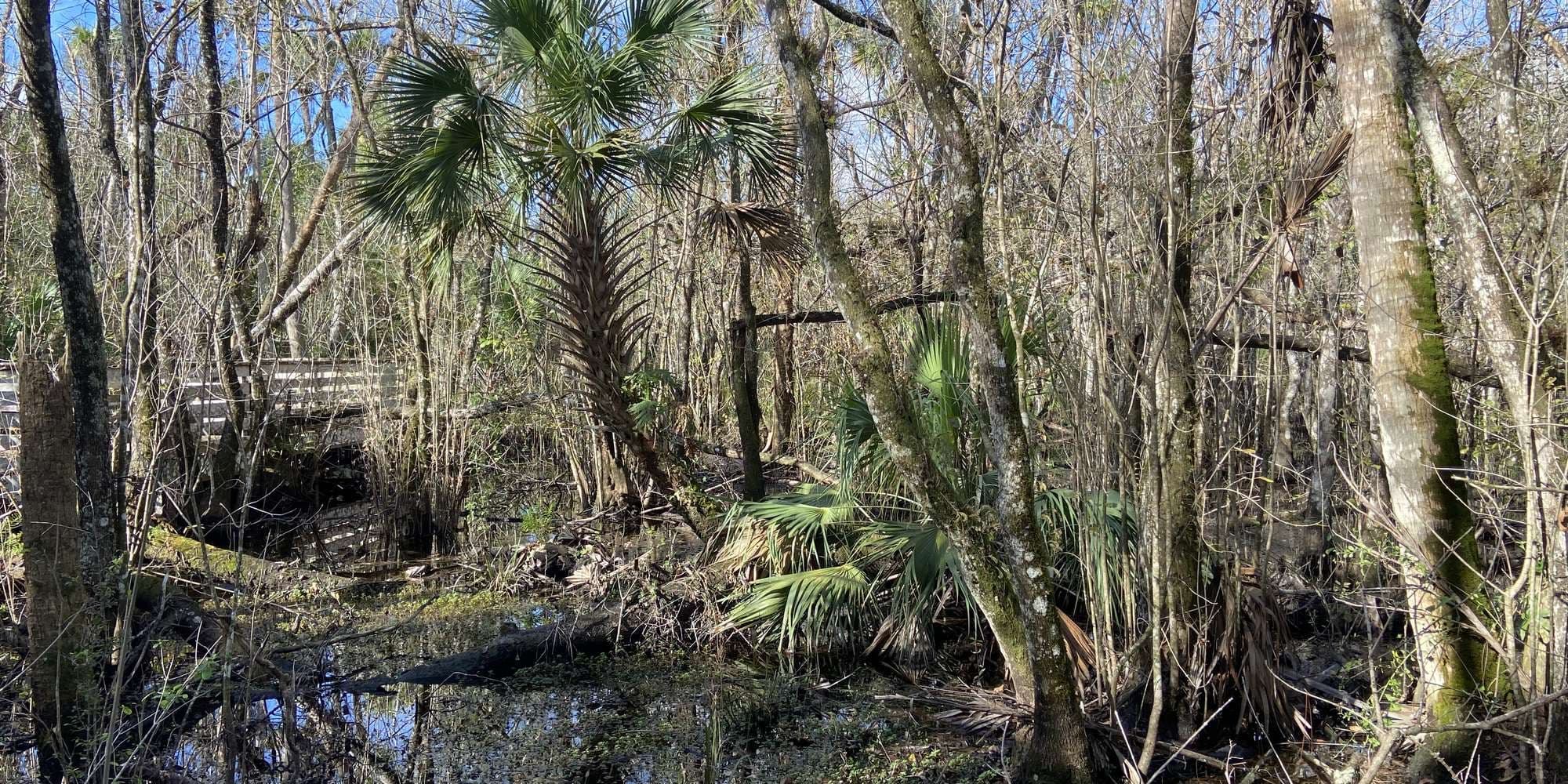 First image to compare