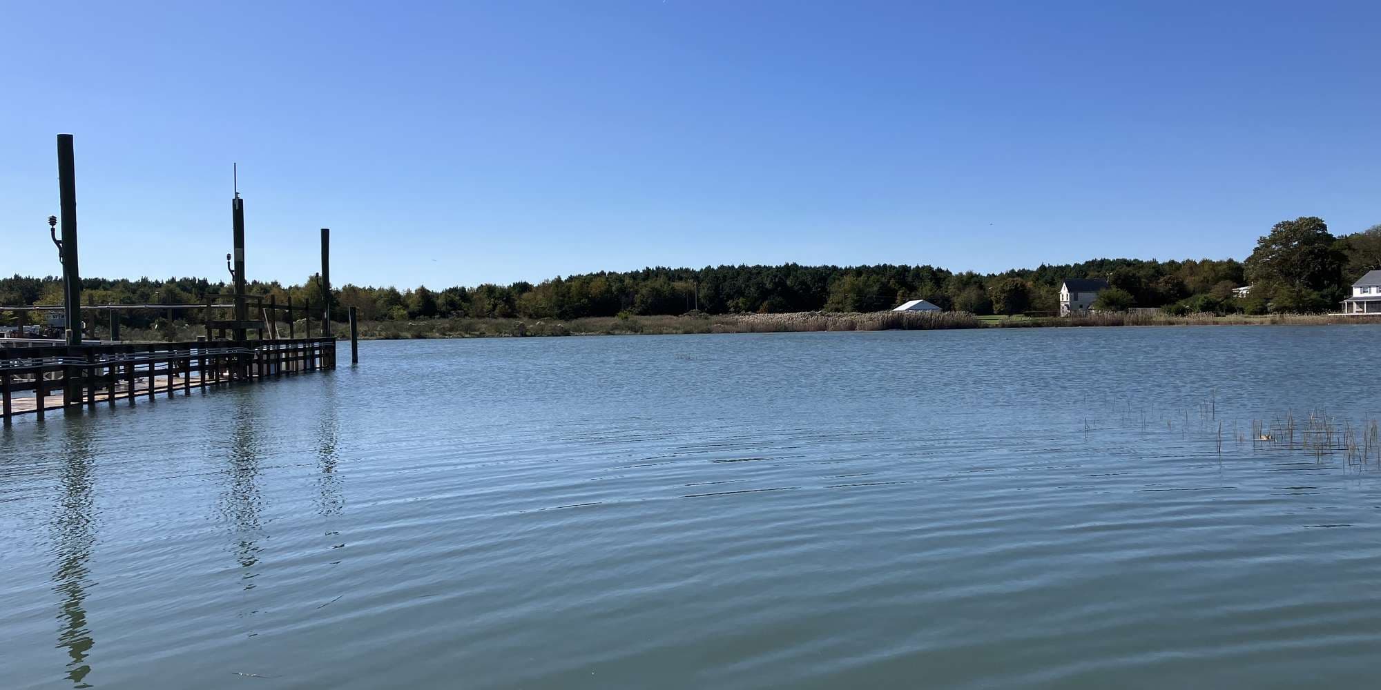 Second image to compare