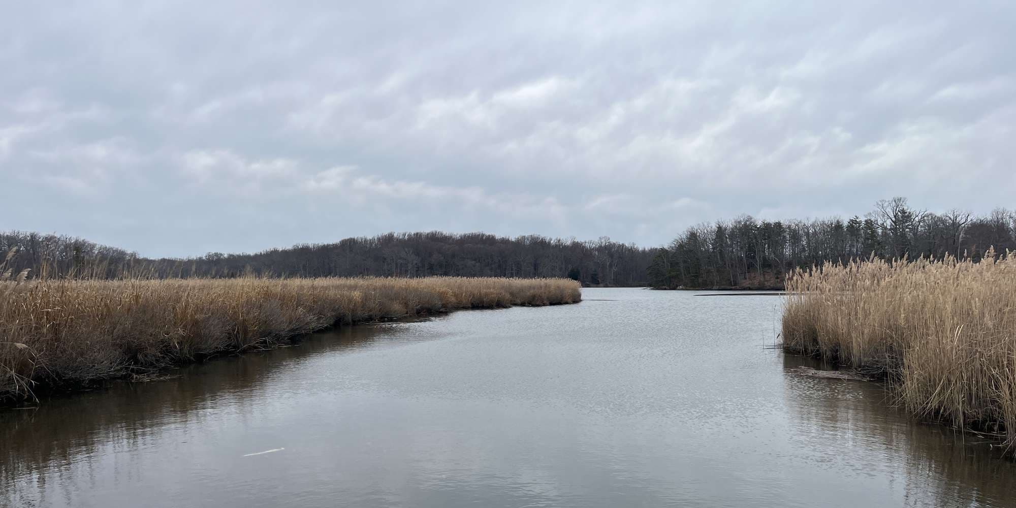 Second image to compare