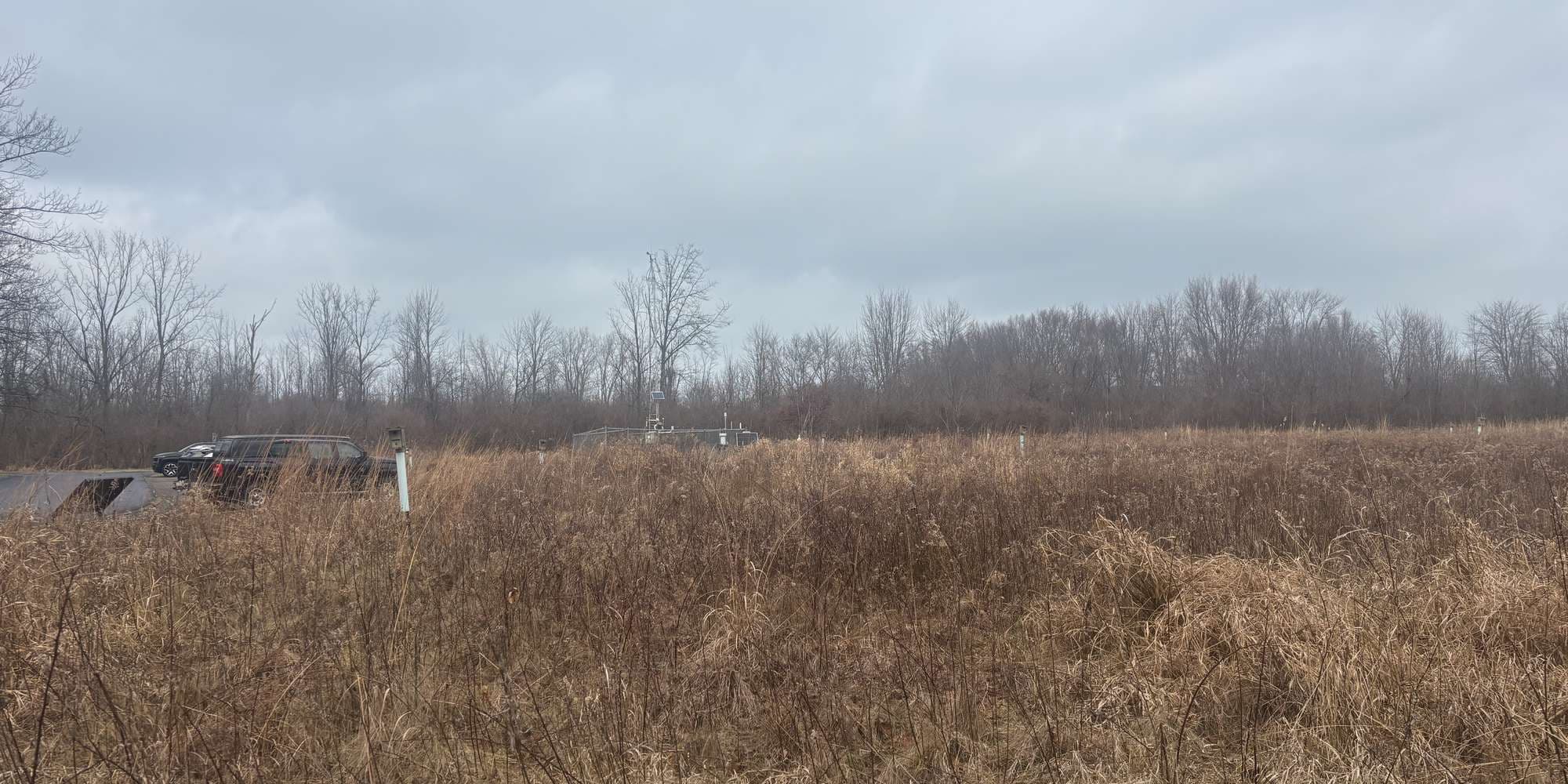 Second image to compare