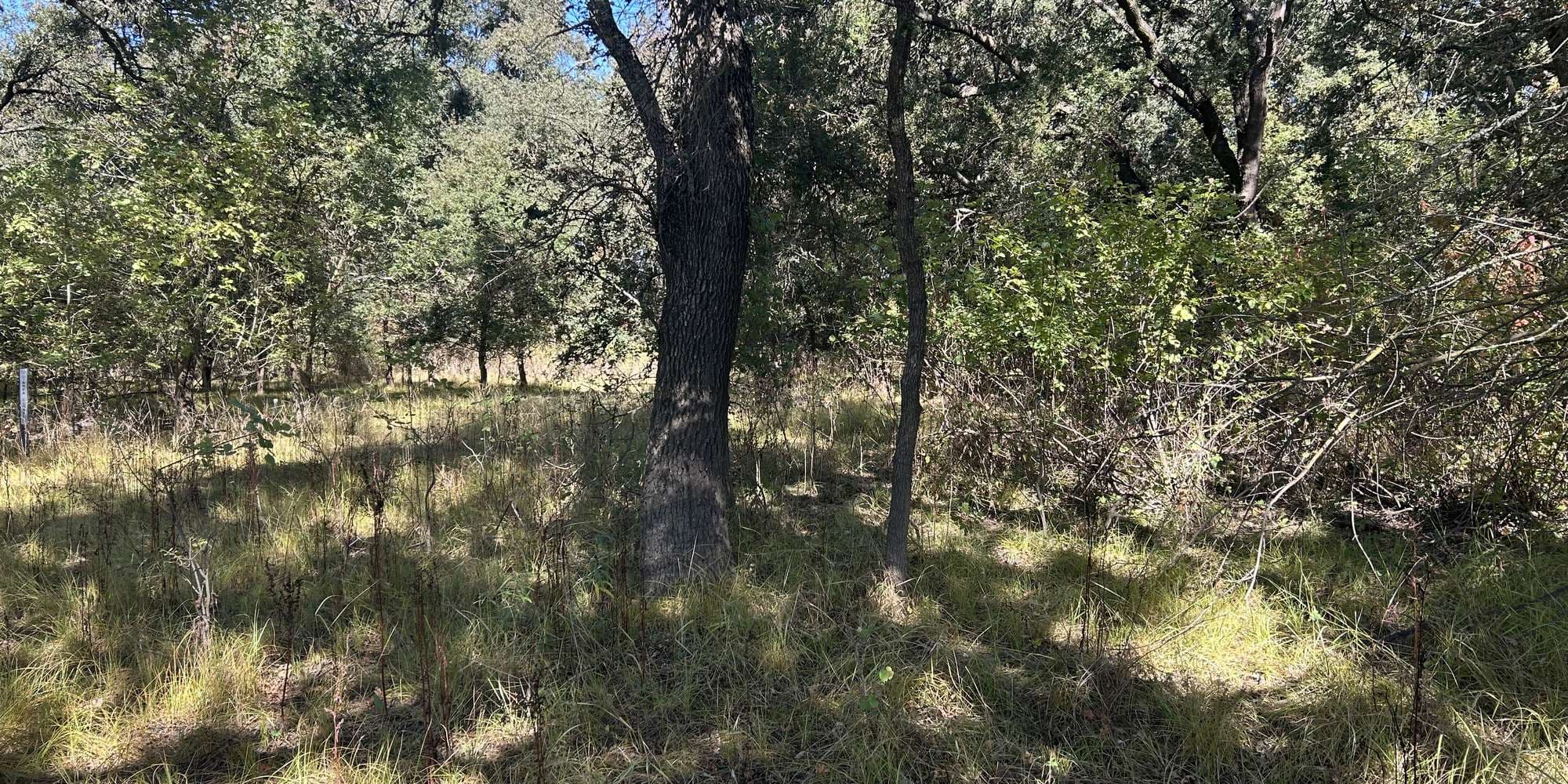 First image to compare