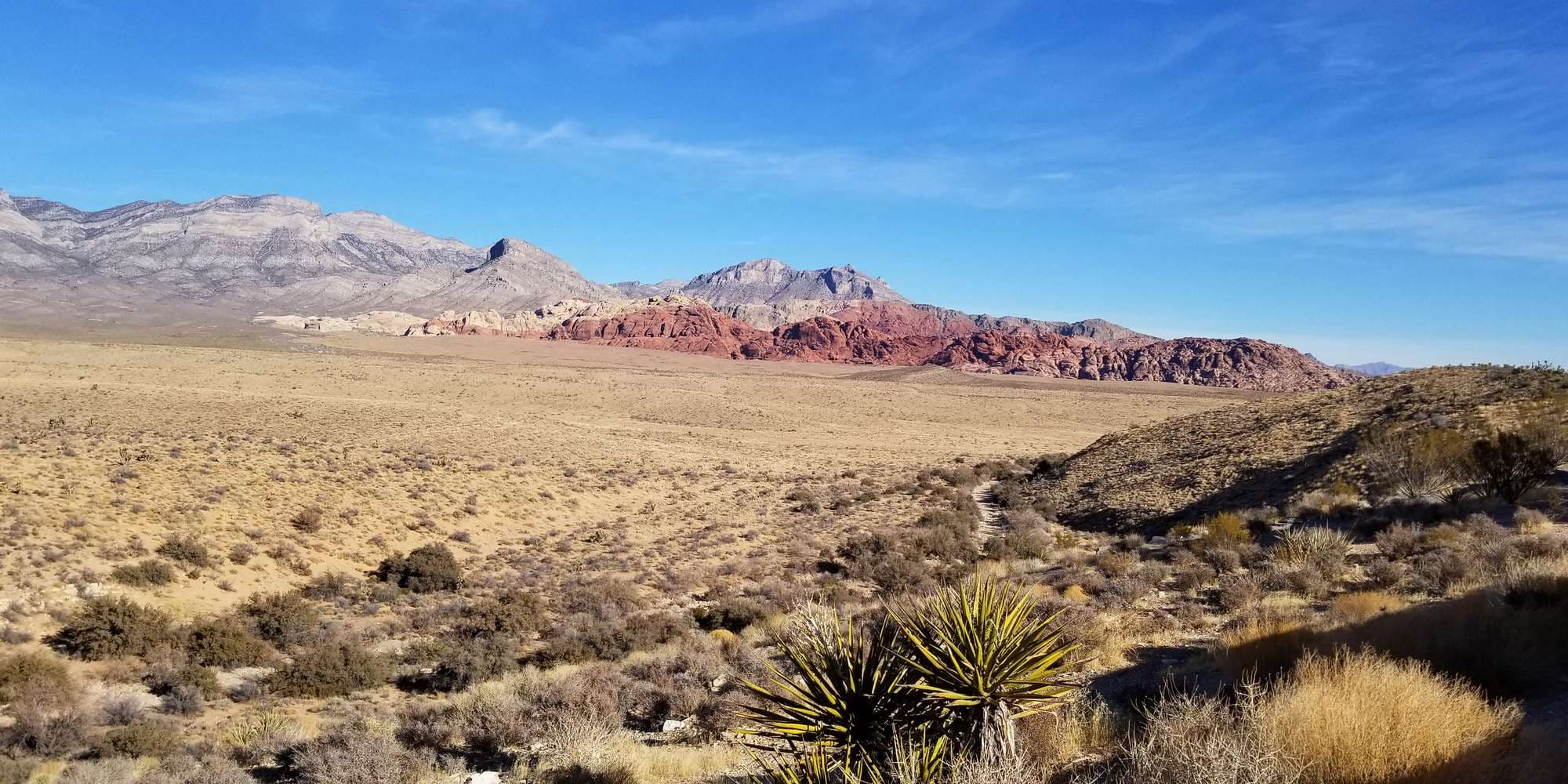 First image to compare