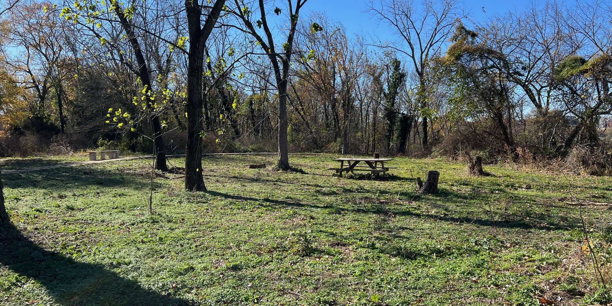 Second image to compare