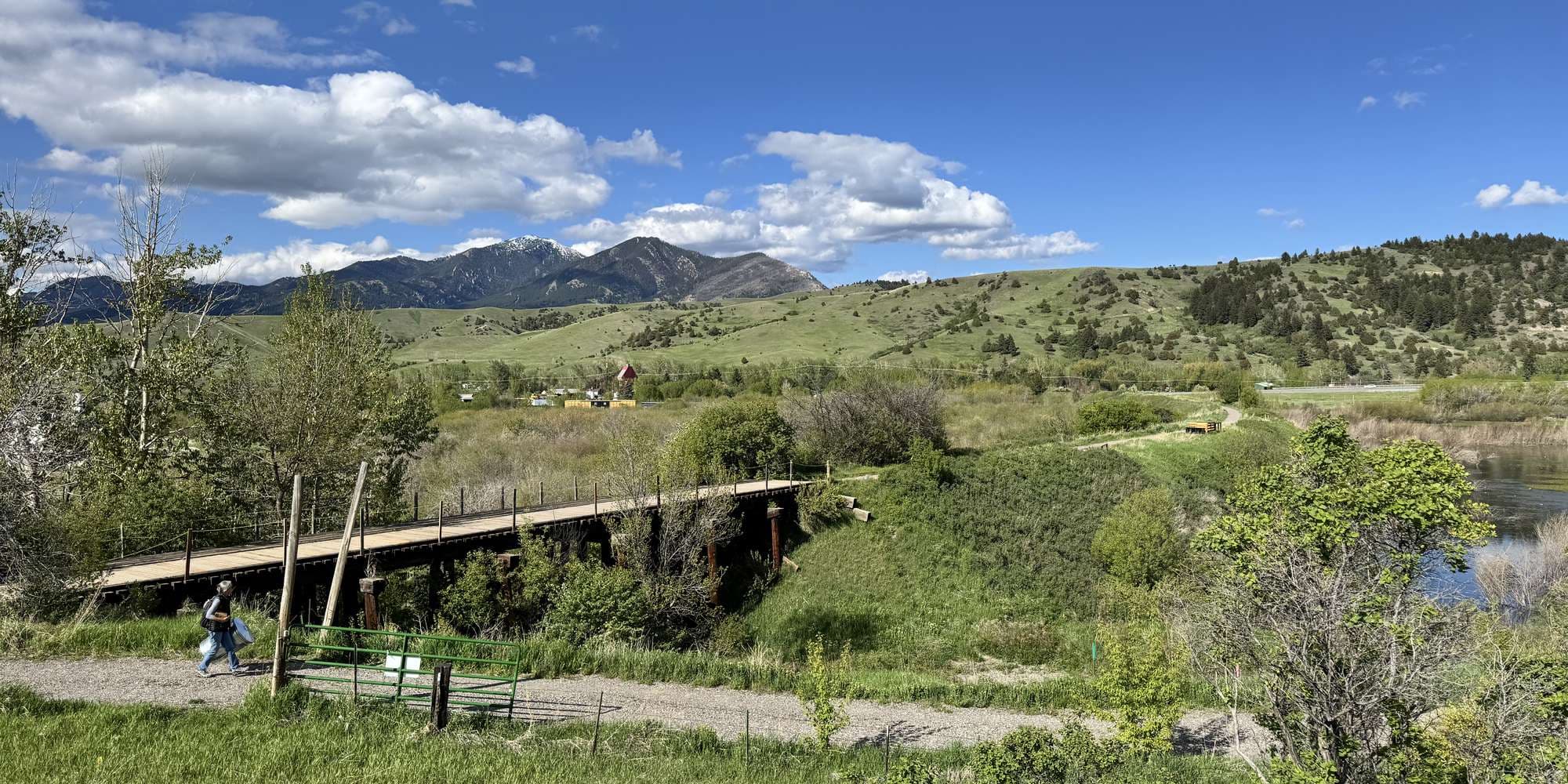 Second image to compare