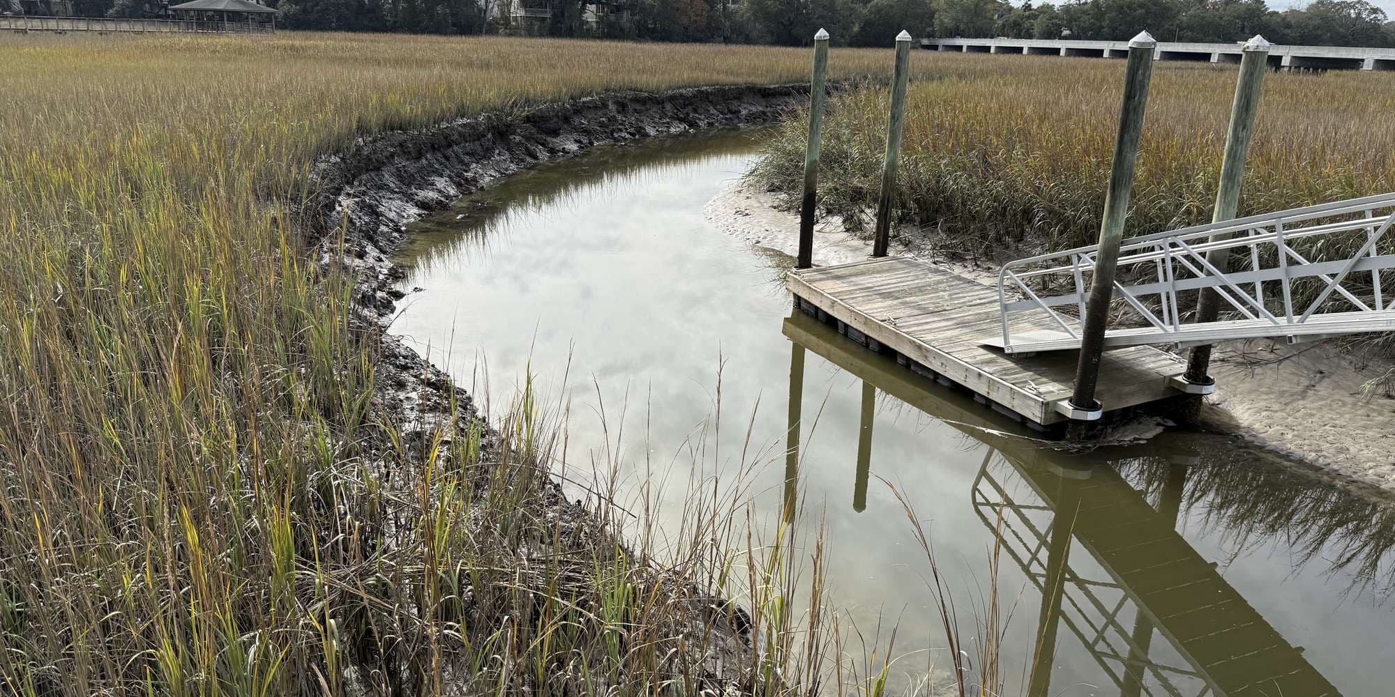 Second image to compare