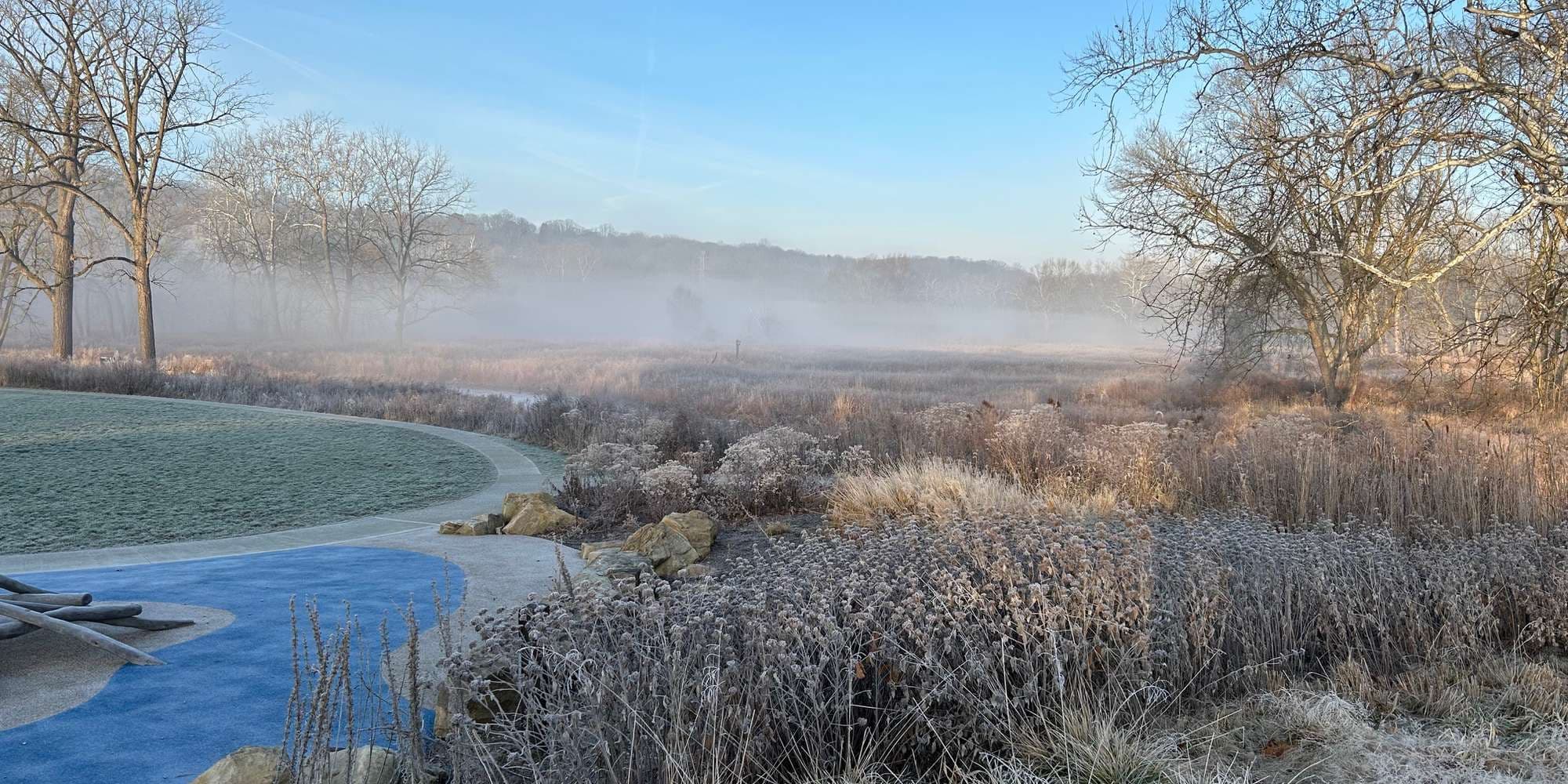 Second image to compare