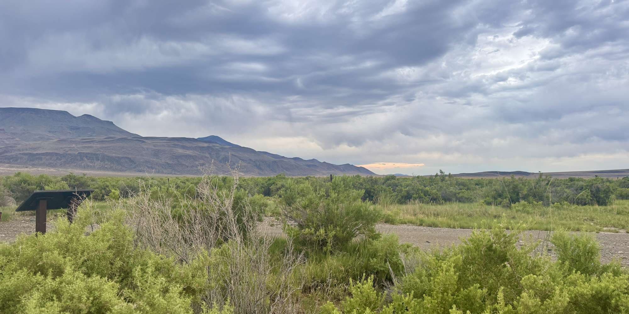 Second image to compare