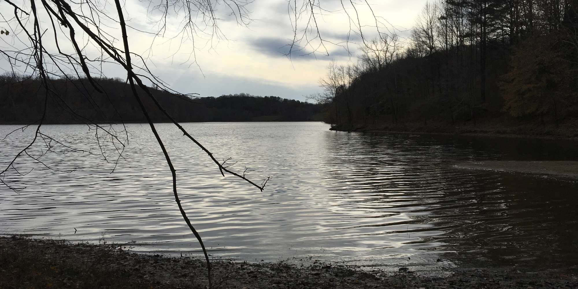 First image to compare