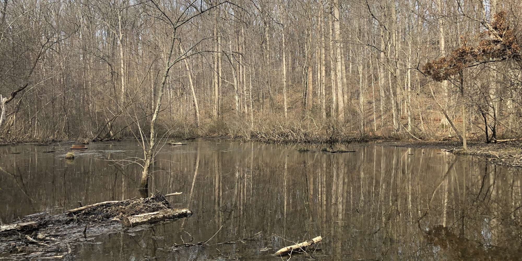 First image to compare