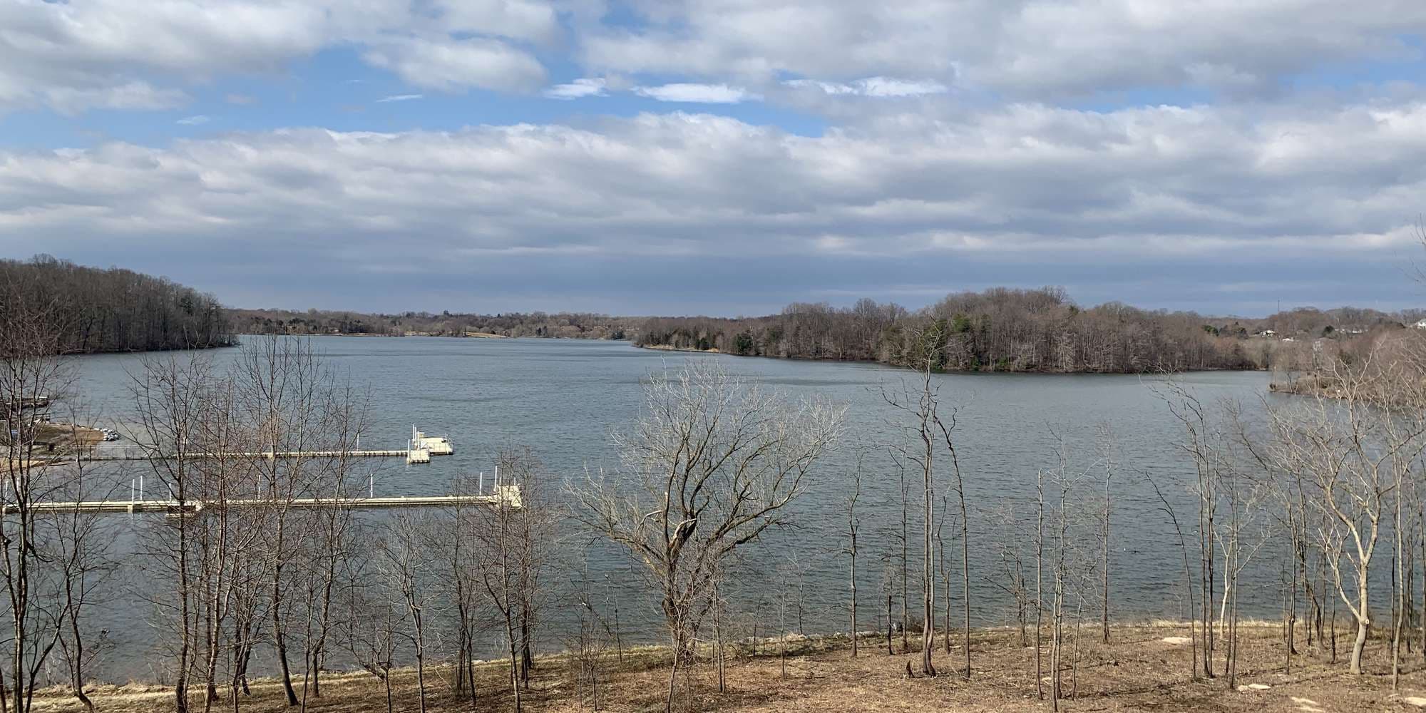 First image to compare