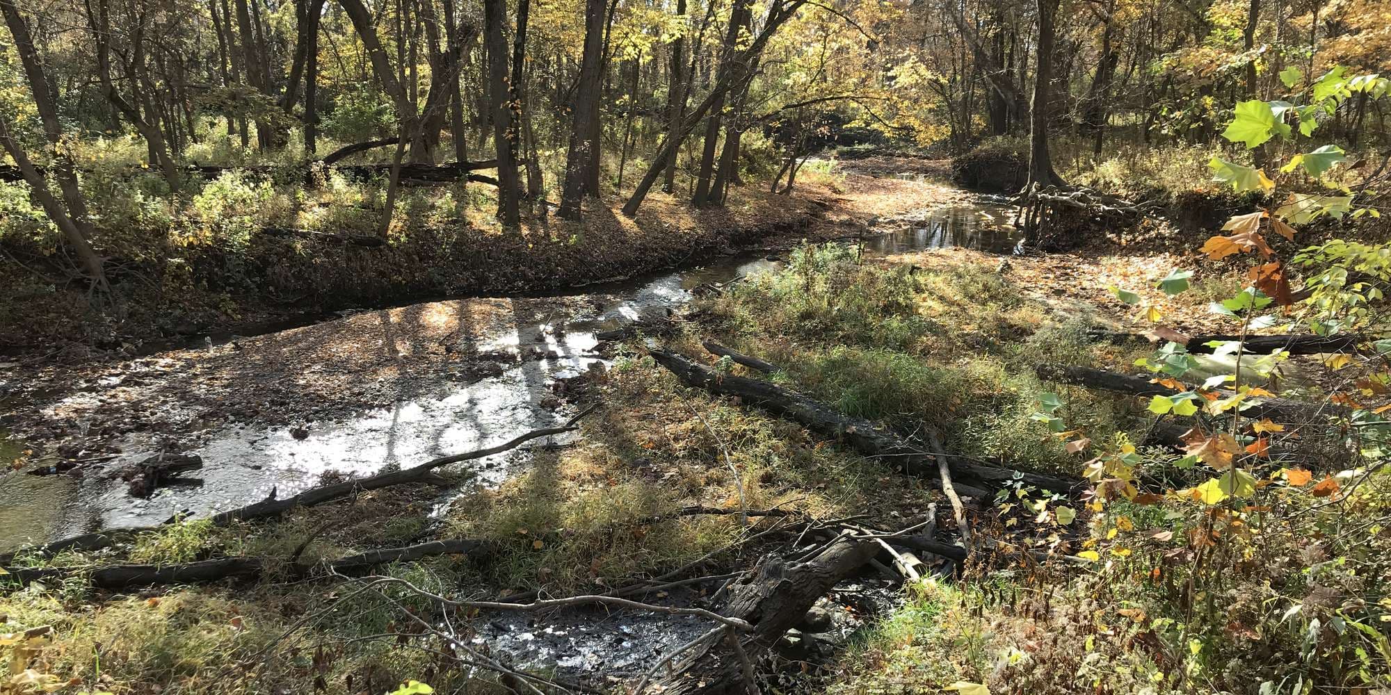 First image to compare