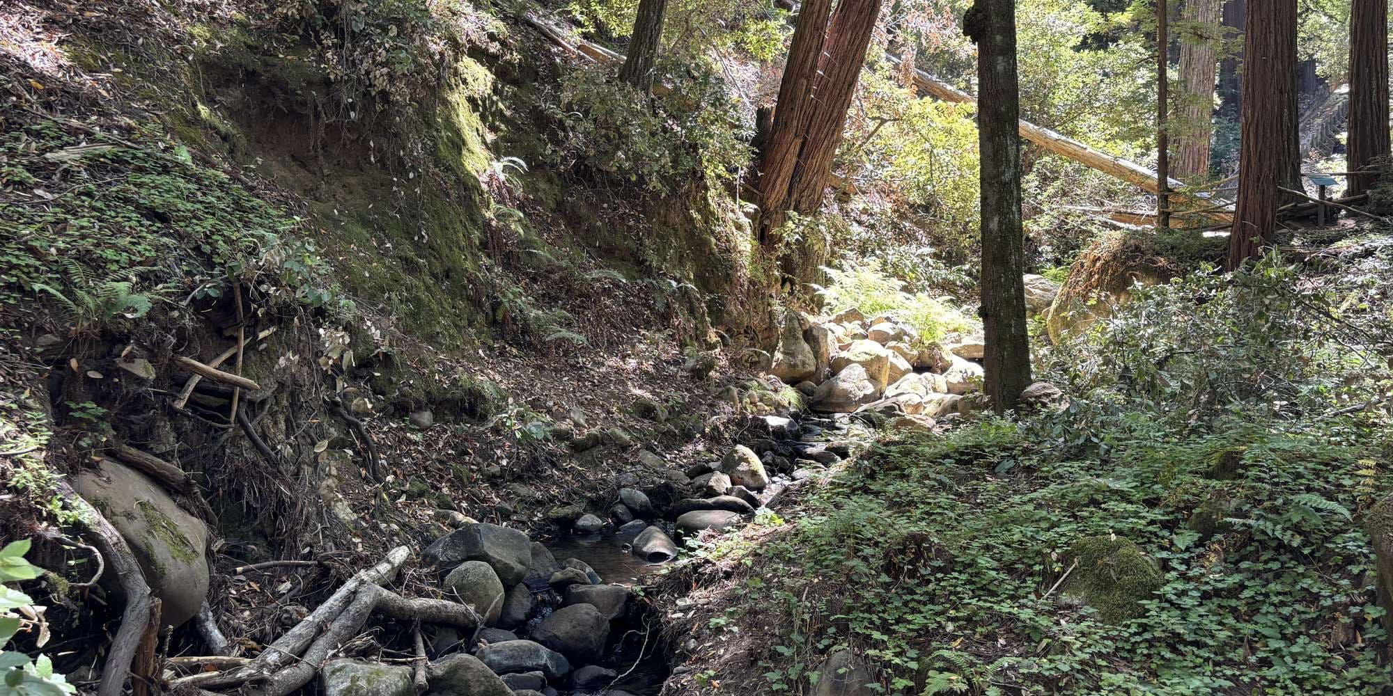 First image to compare