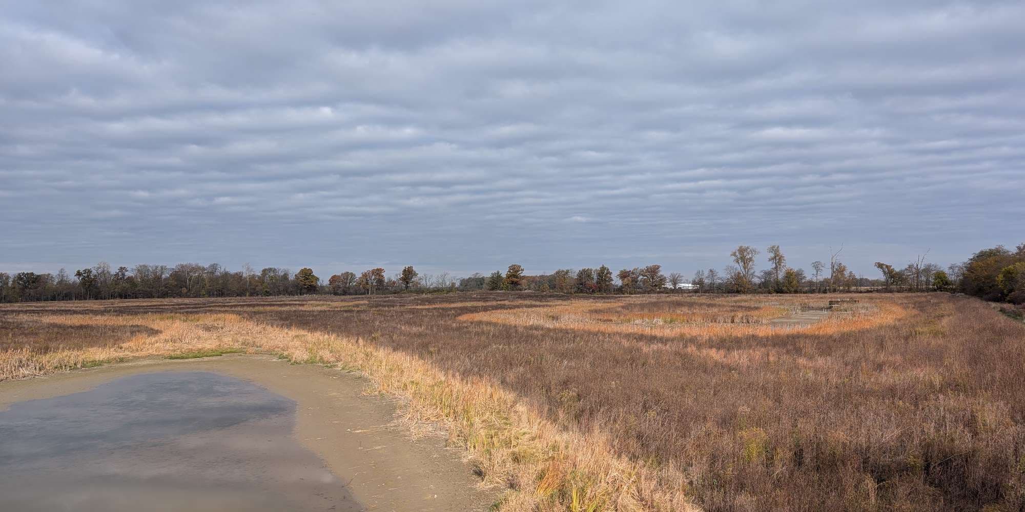 Second image to compare