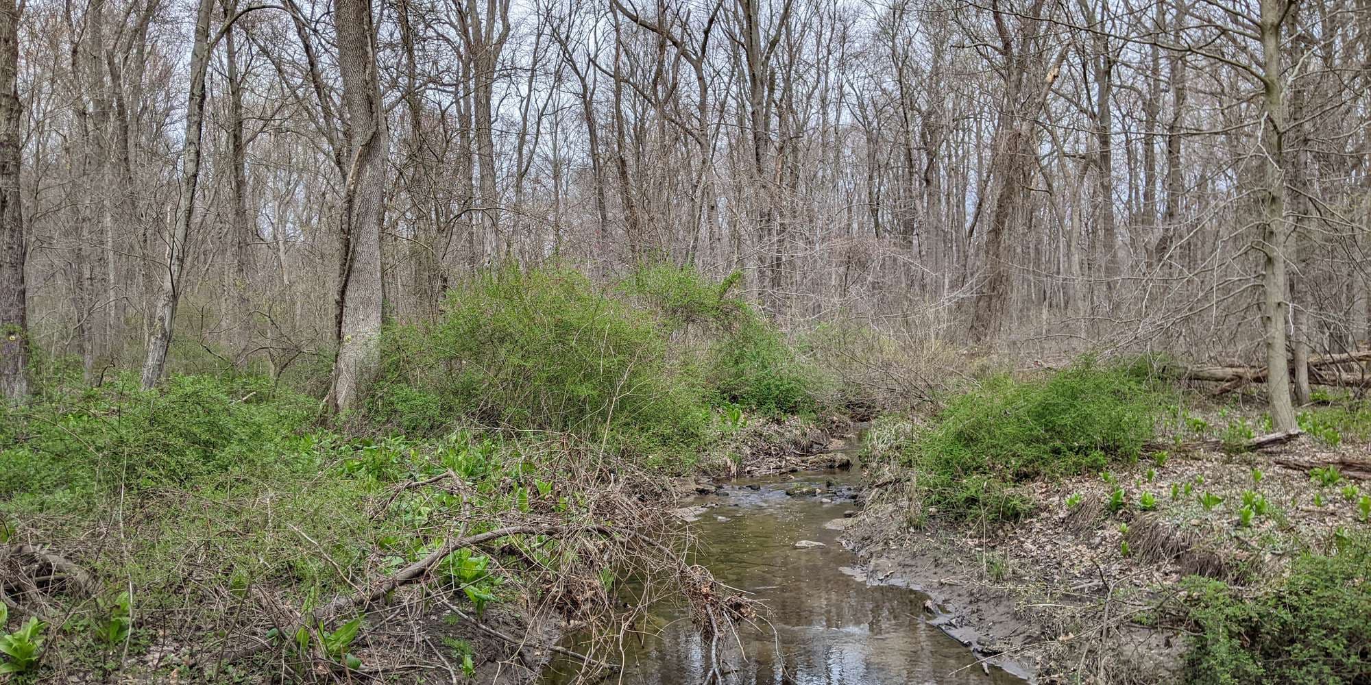 First image to compare