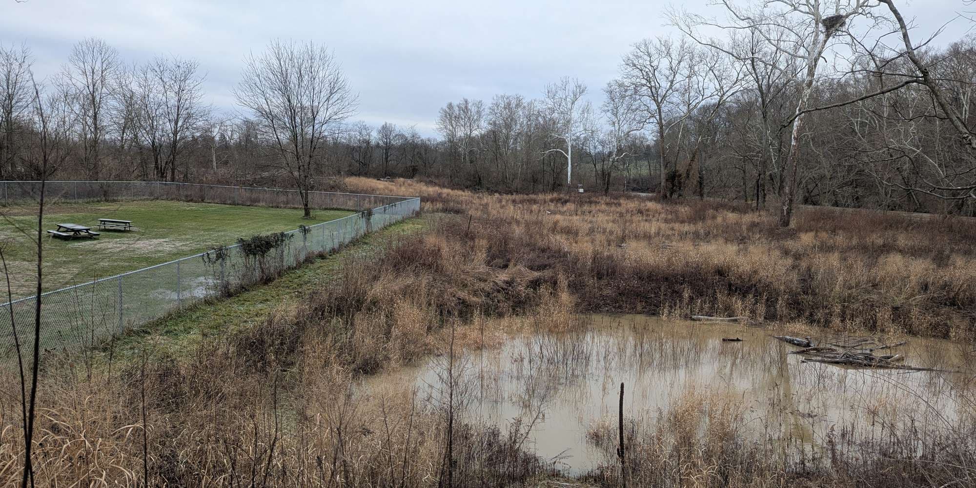 Second image to compare