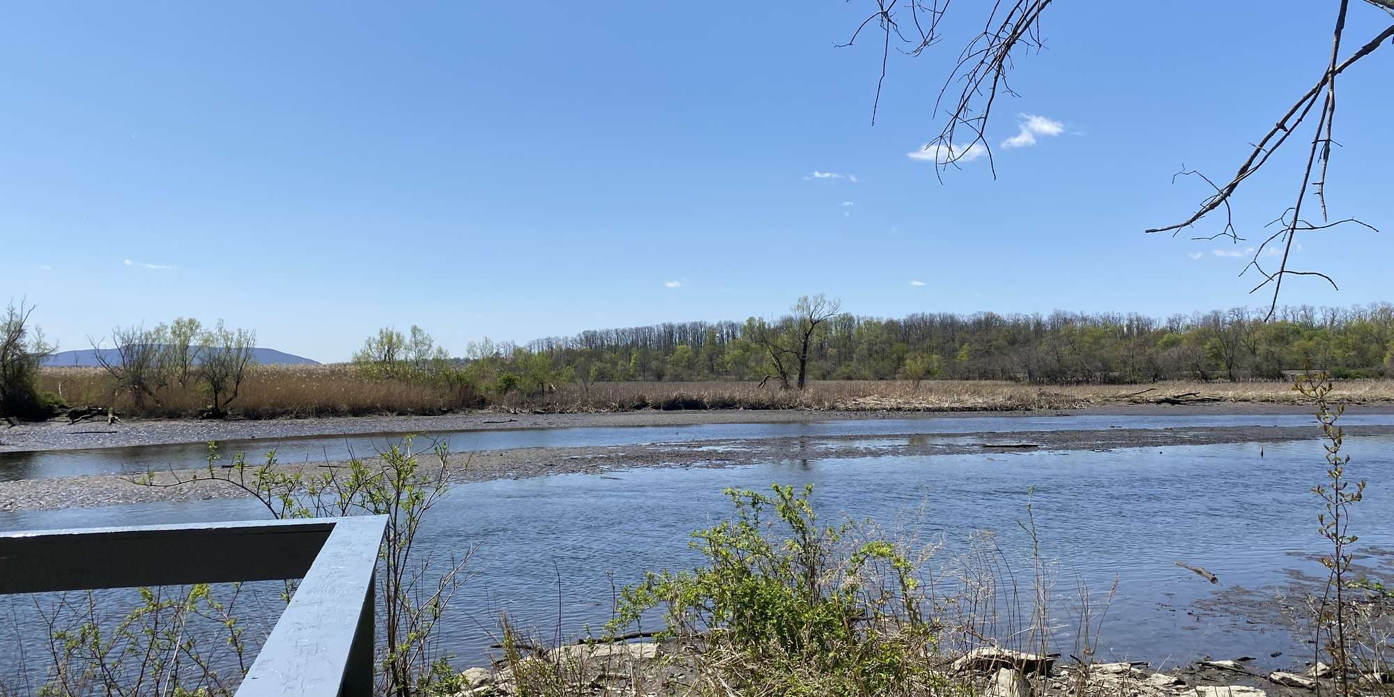 First image to compare