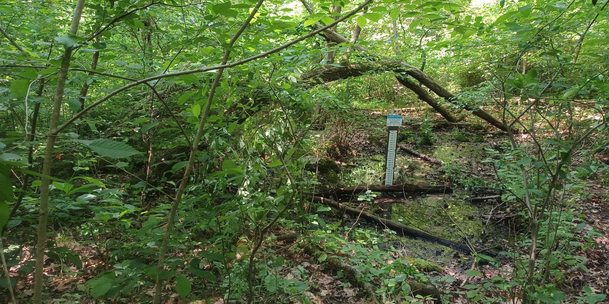 First image to compare