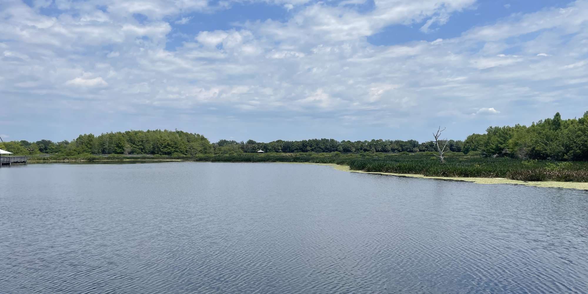 First image to compare