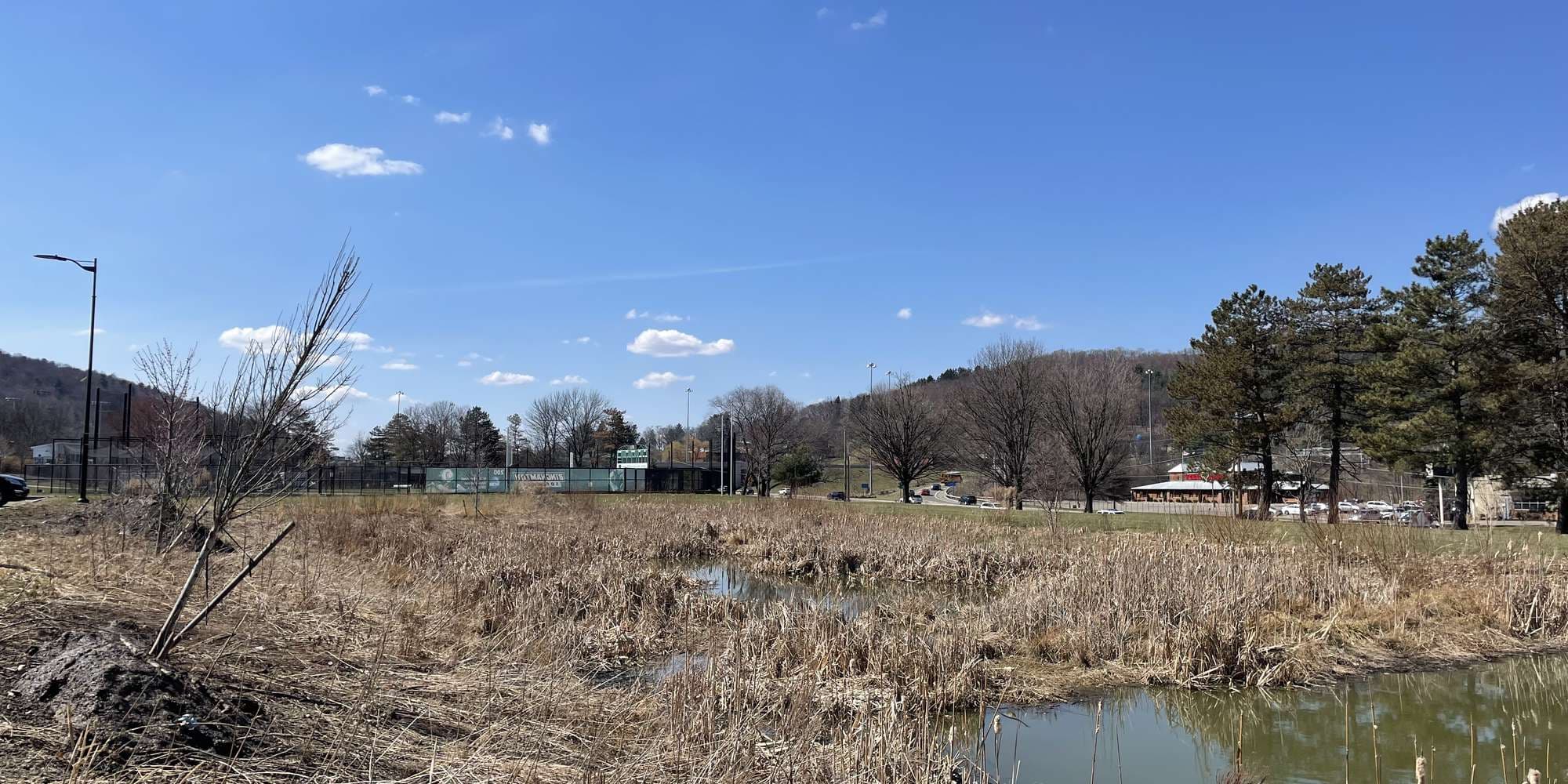 First image to compare