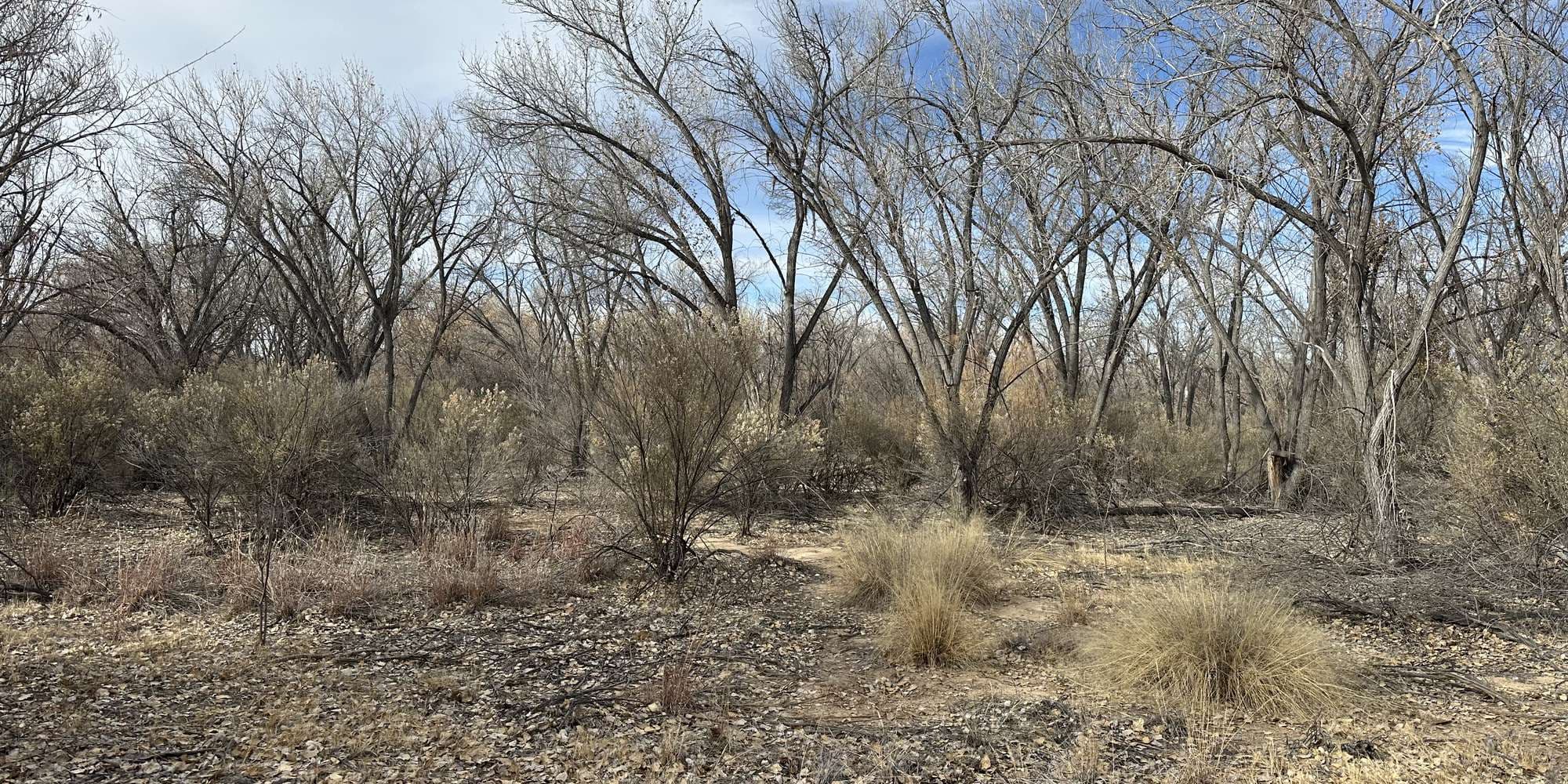 Second image to compare