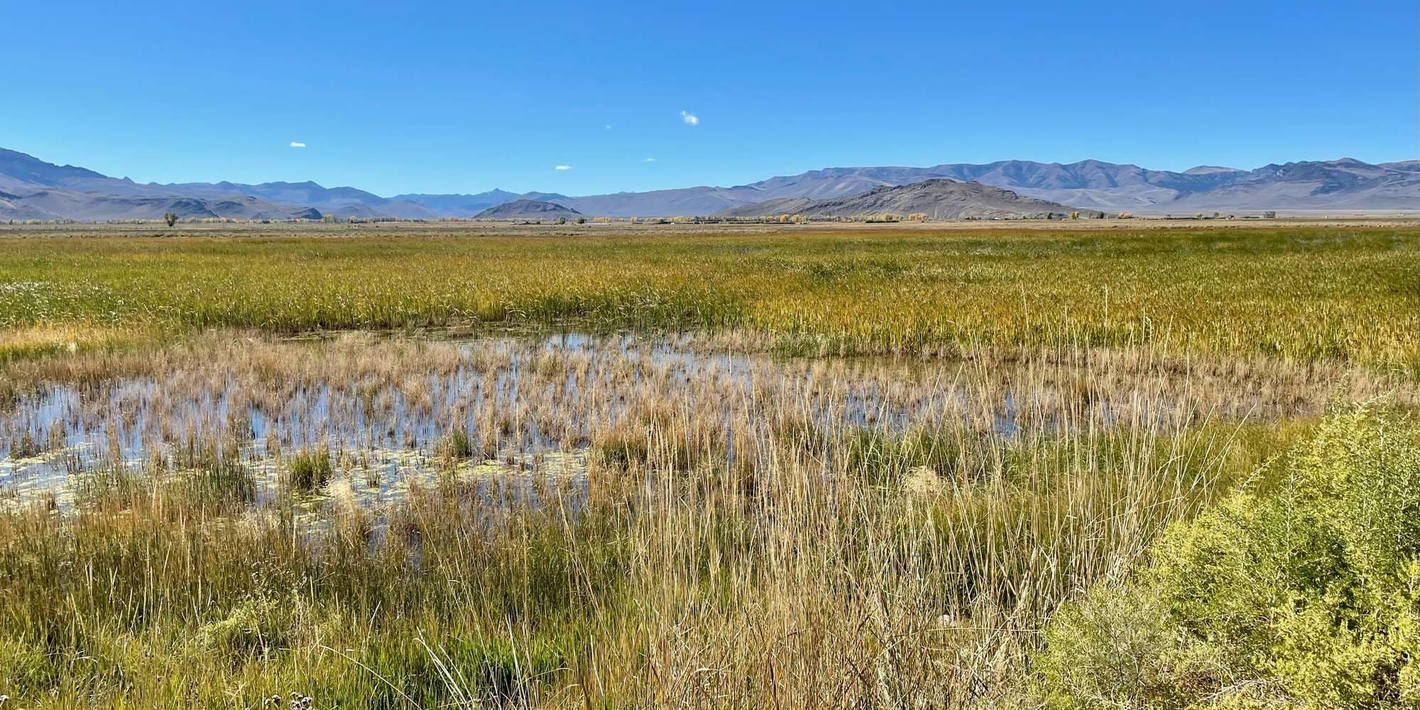 First image to compare