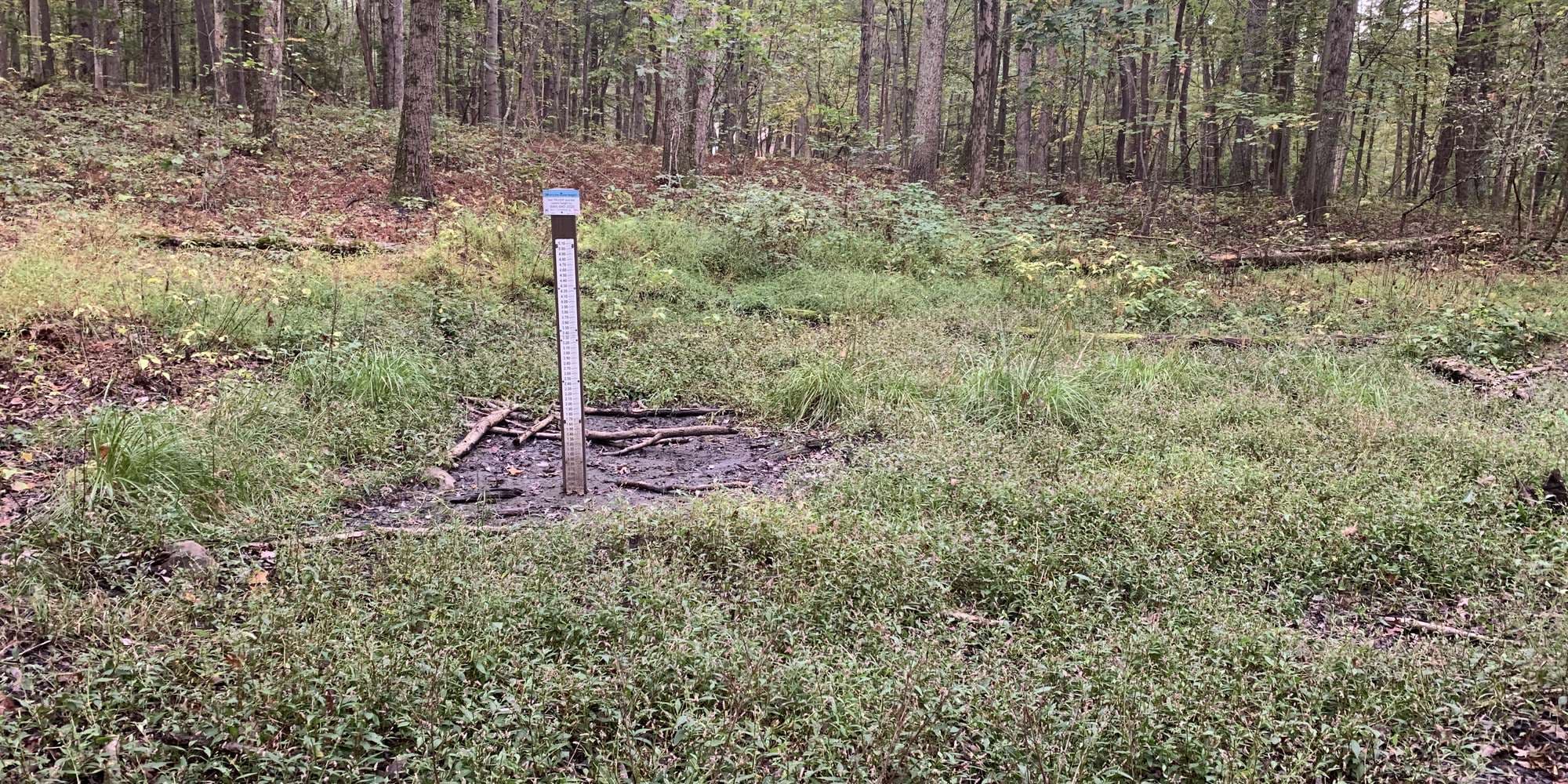 Second image to compare