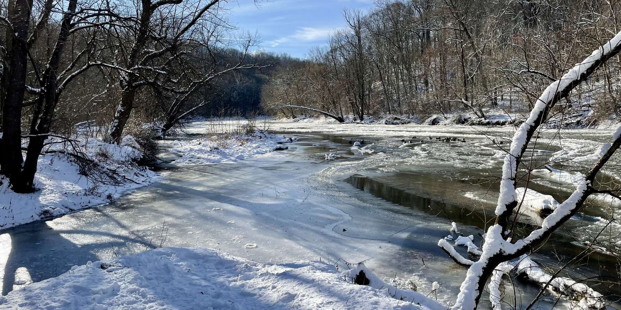 Second image to compare