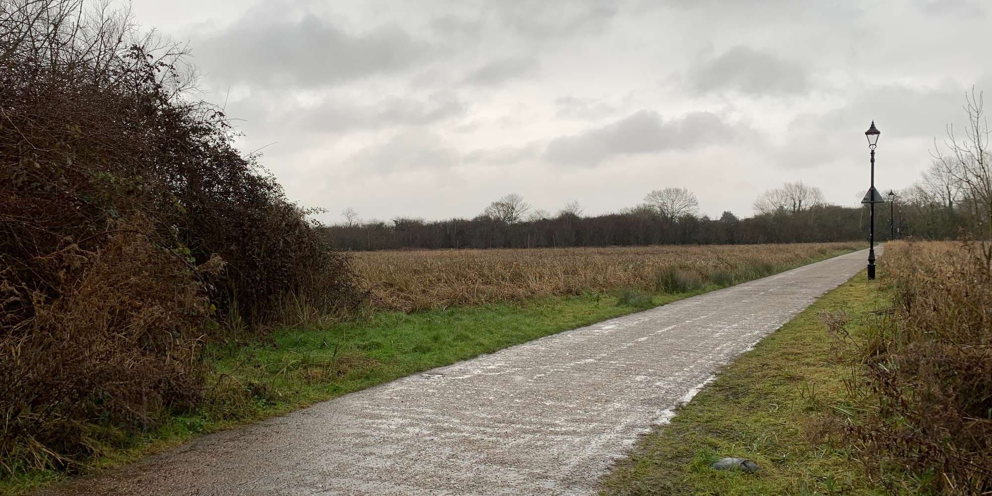 First image to compare