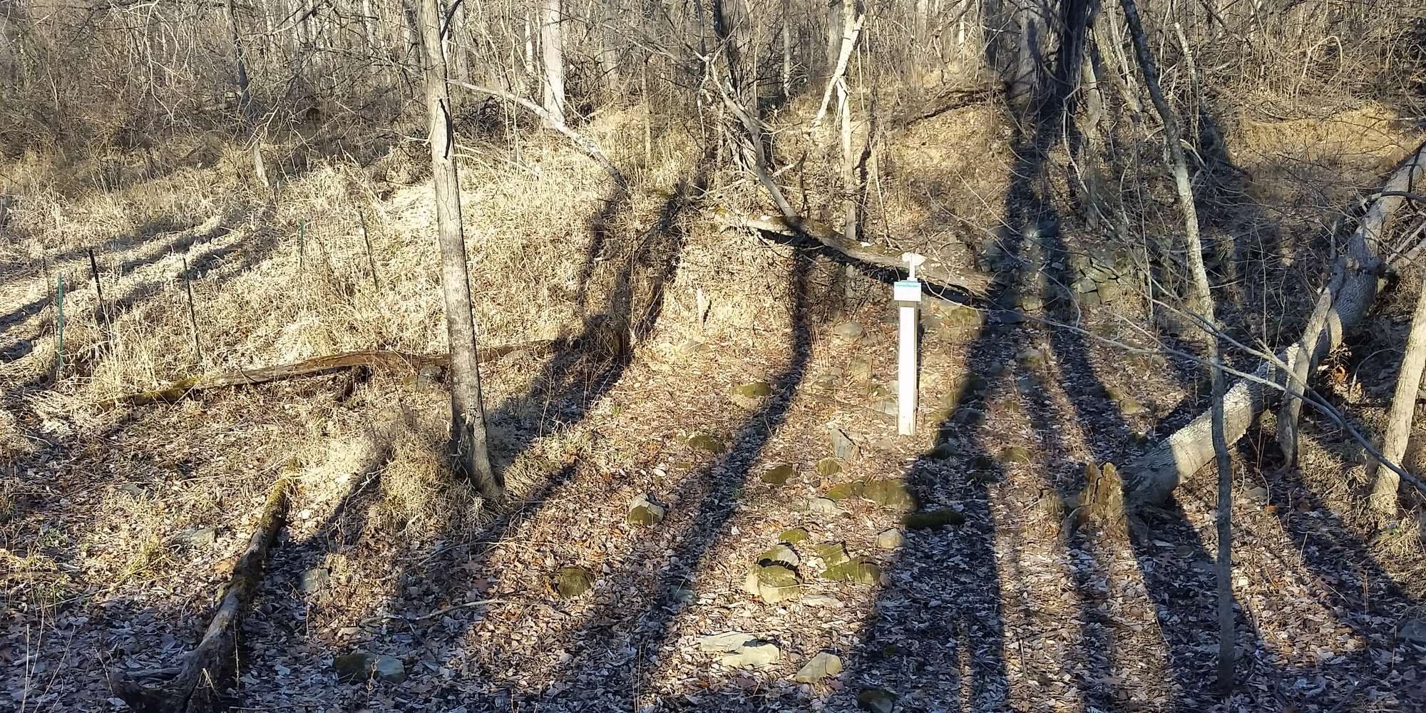 Second image to compare