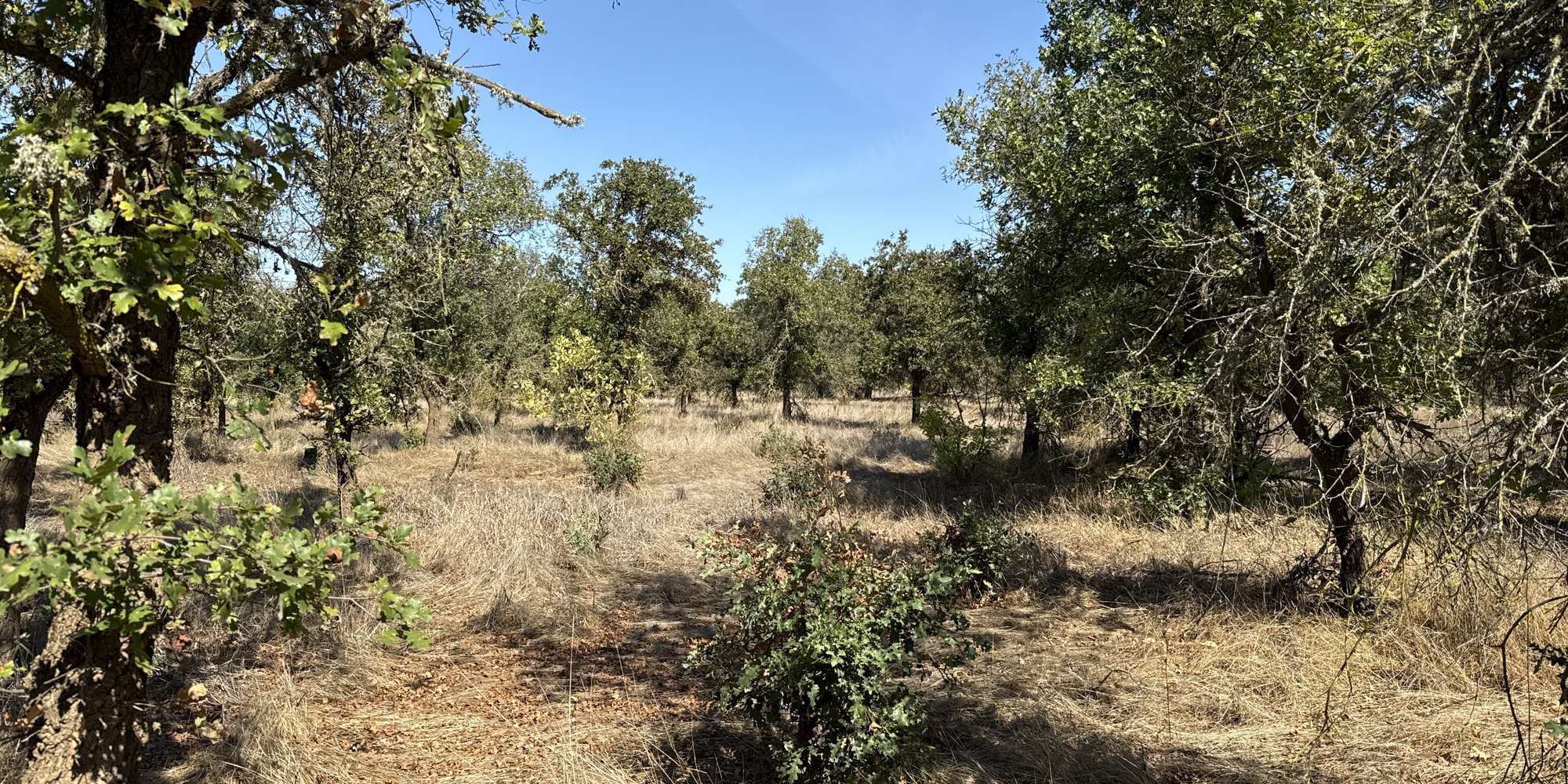 First image to compare