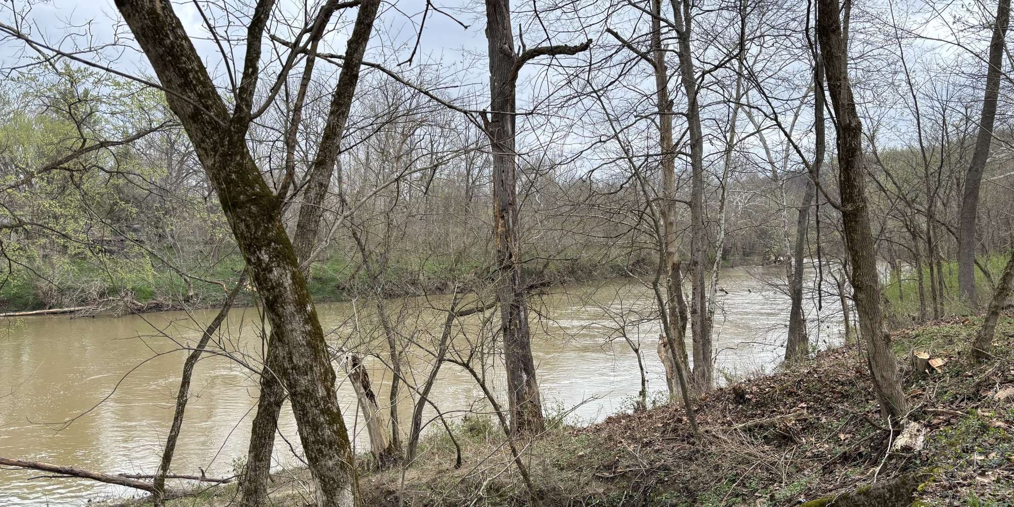 First image to compare