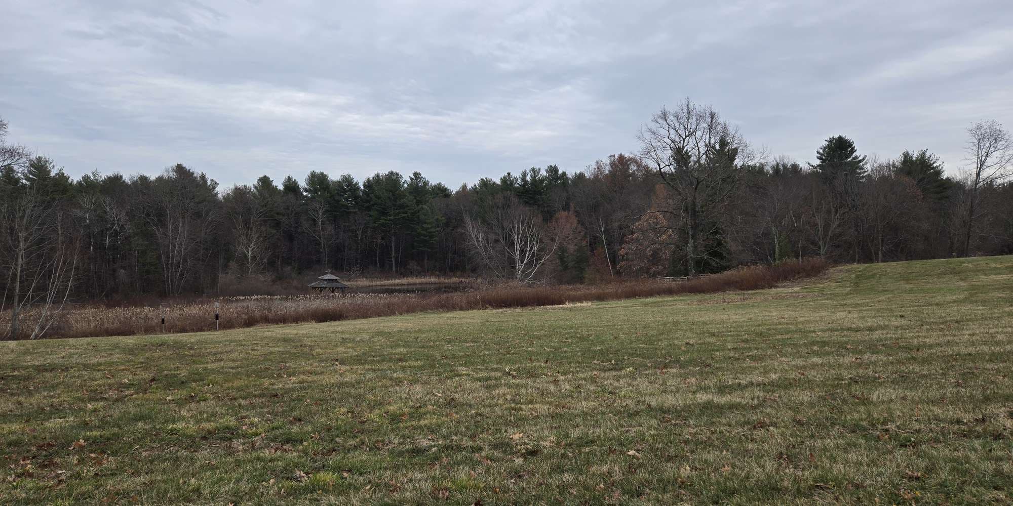 Second image to compare