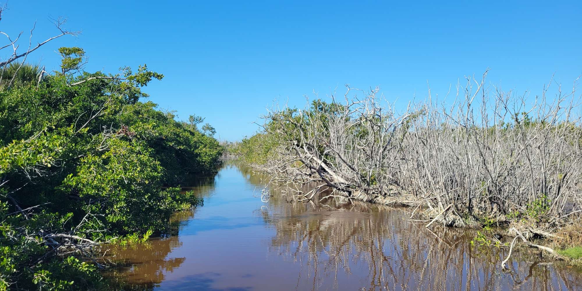 Second image to compare