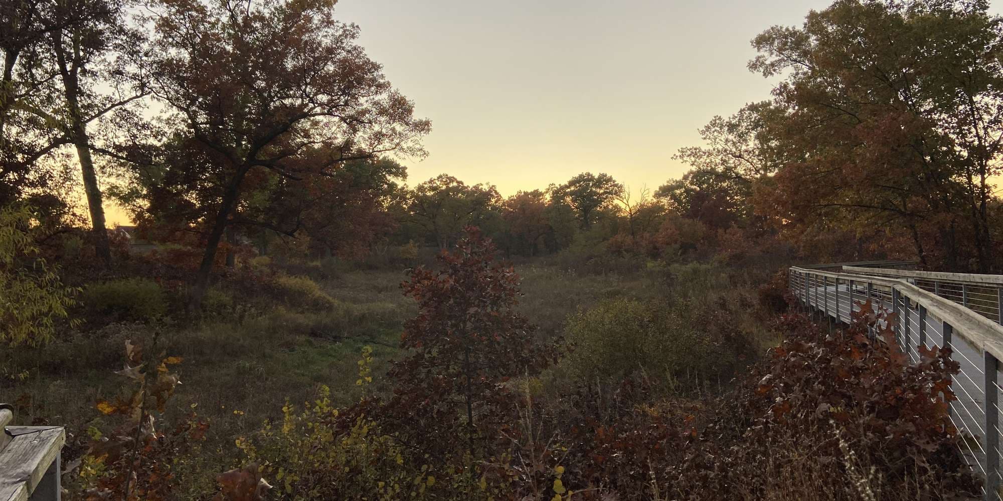 Second image to compare