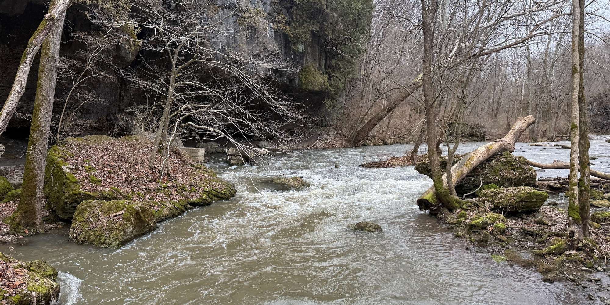 Second image to compare