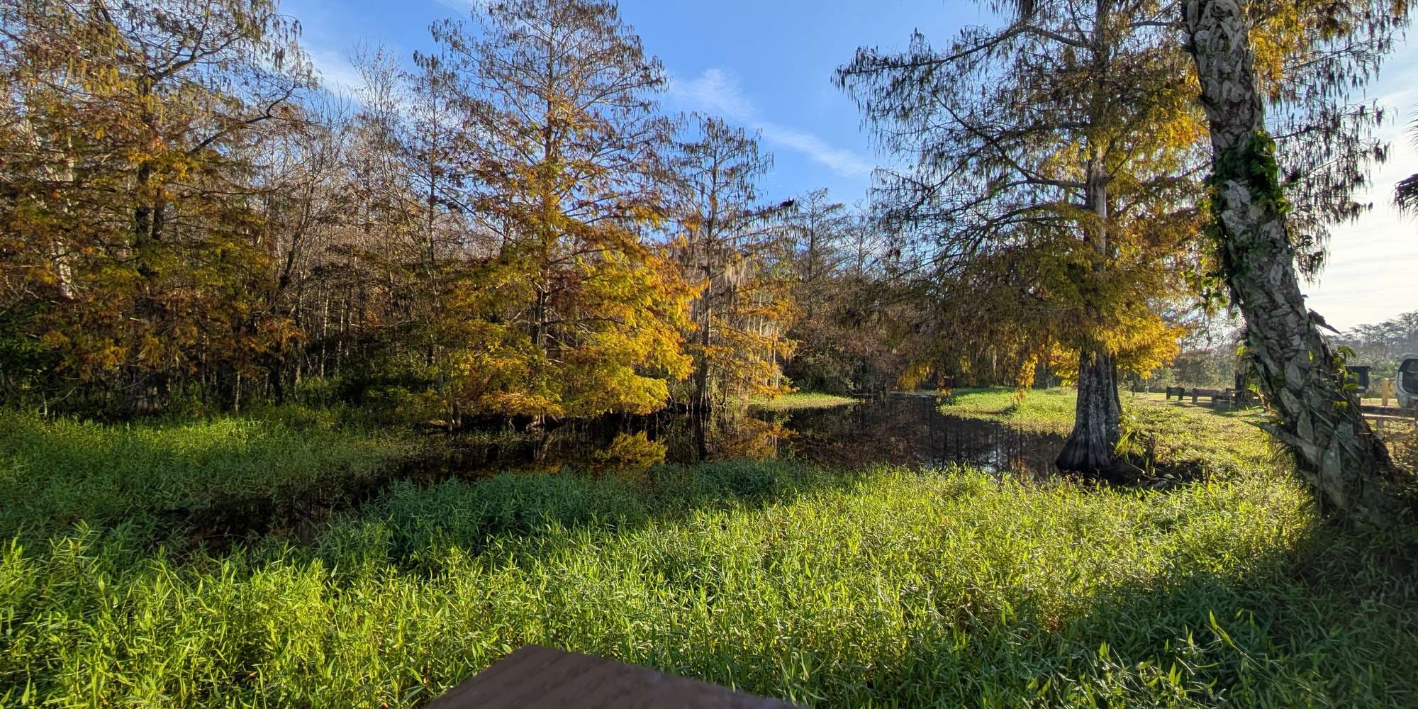 Second image to compare