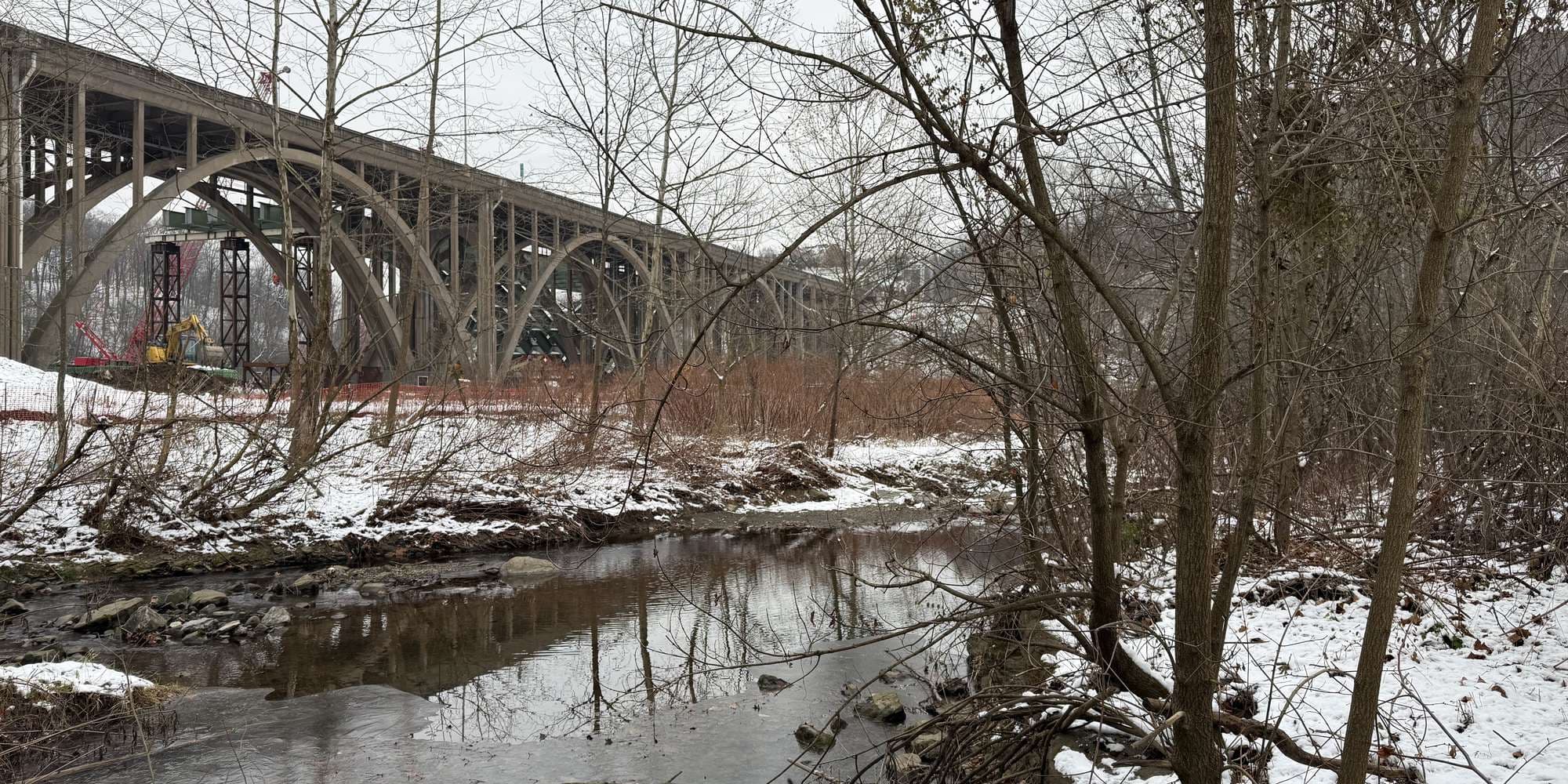 Second image to compare