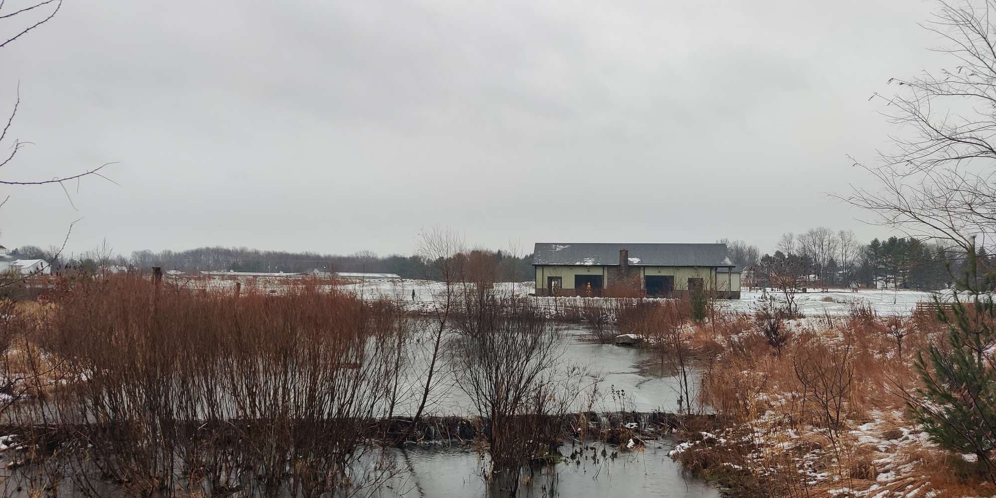 Second image to compare