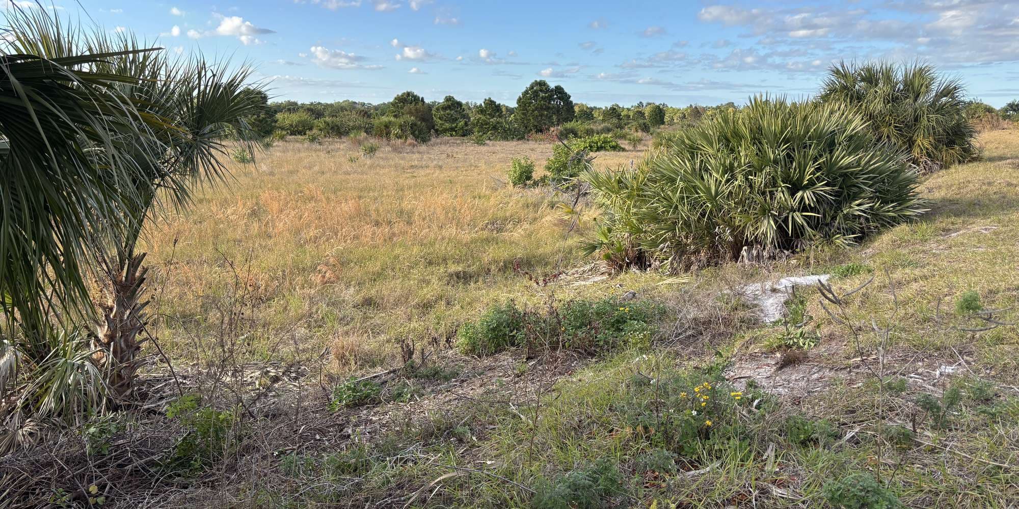 First image to compare