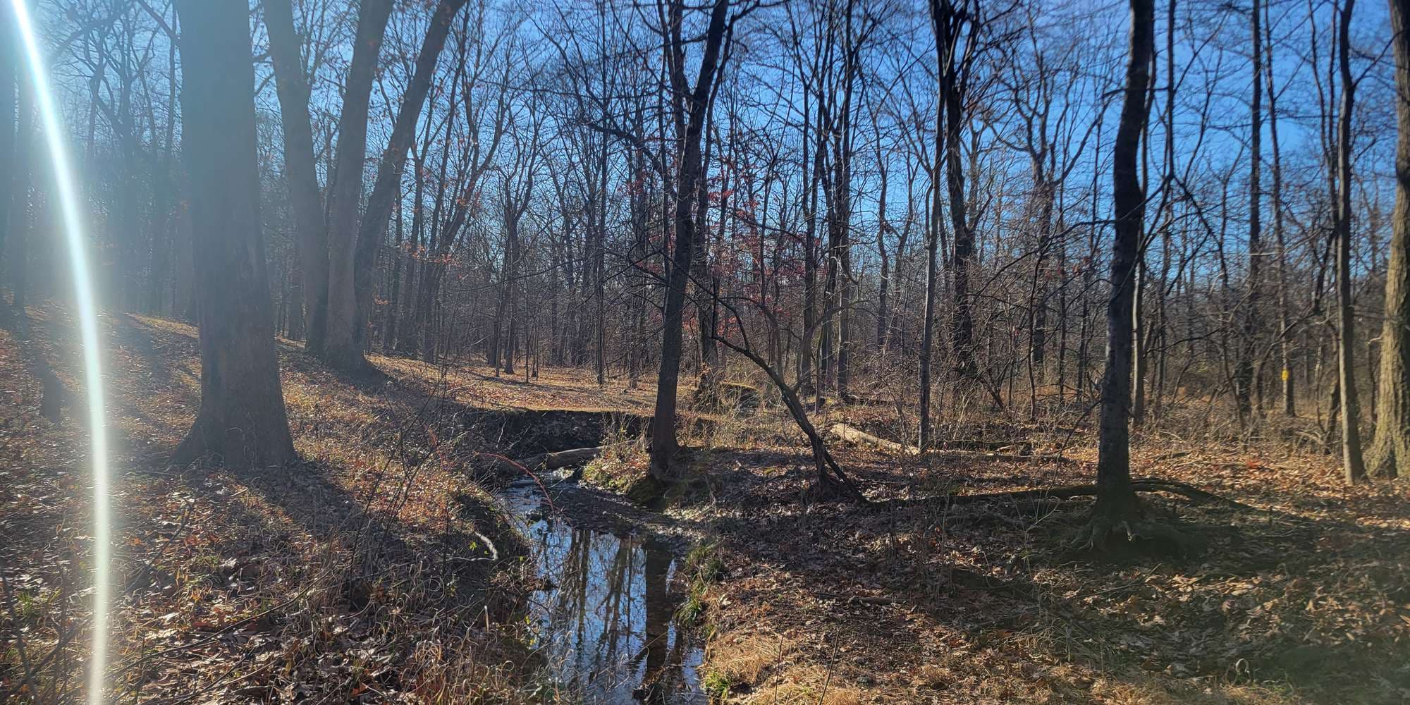 Second image to compare