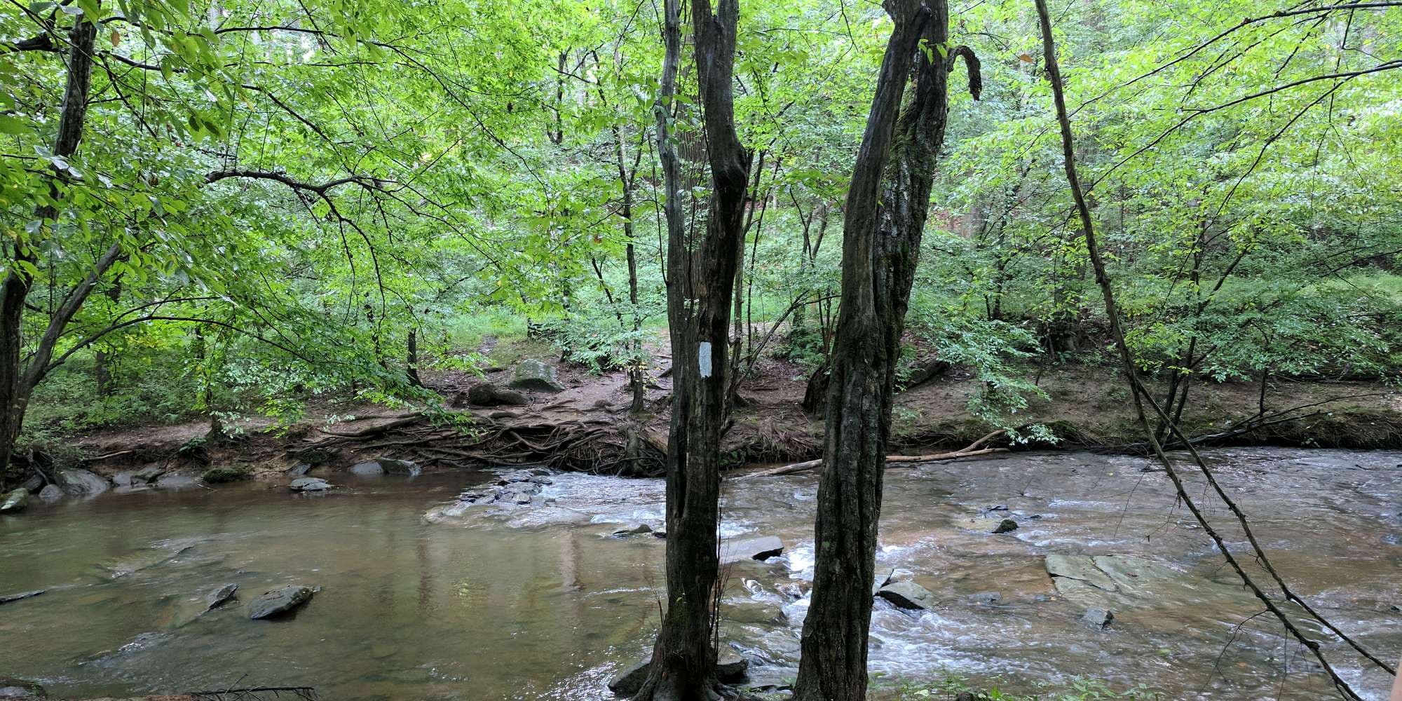 First image to compare