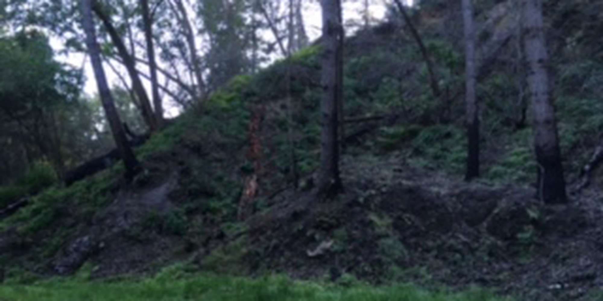 First image to compare